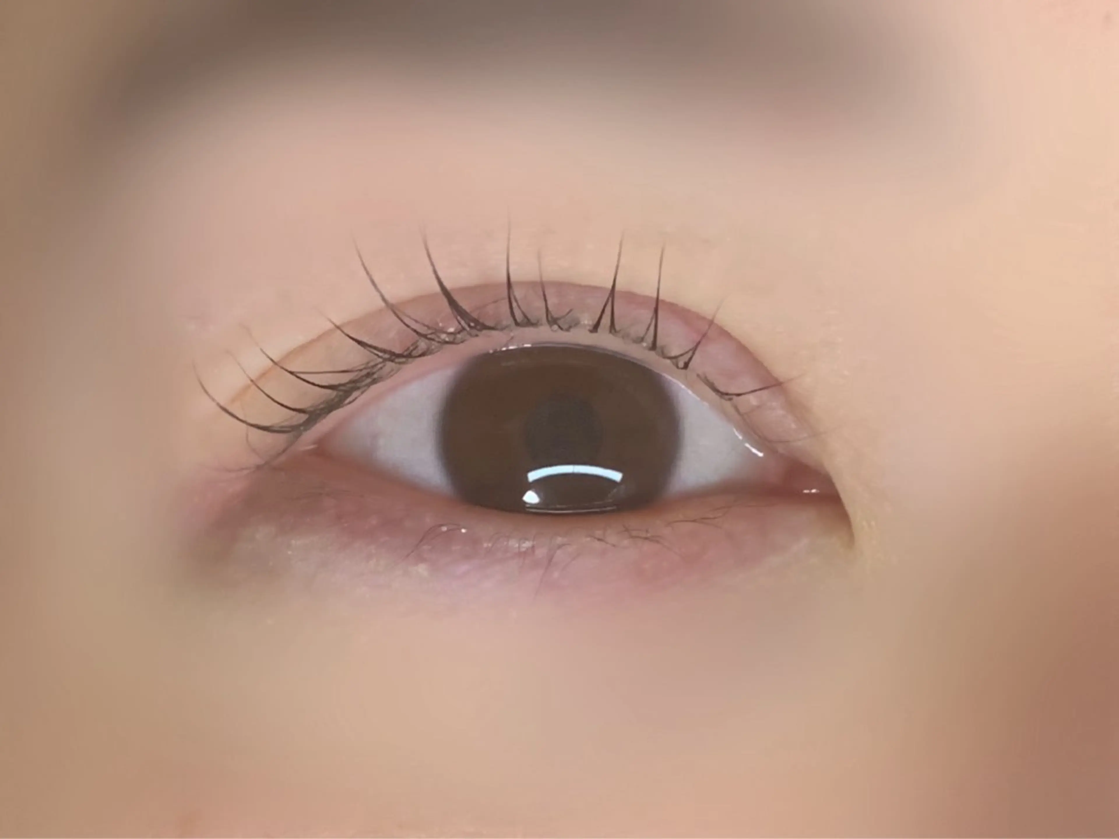 まつ毛パーマ【4種類からご要望に合わせたロッドをご案内】の写真