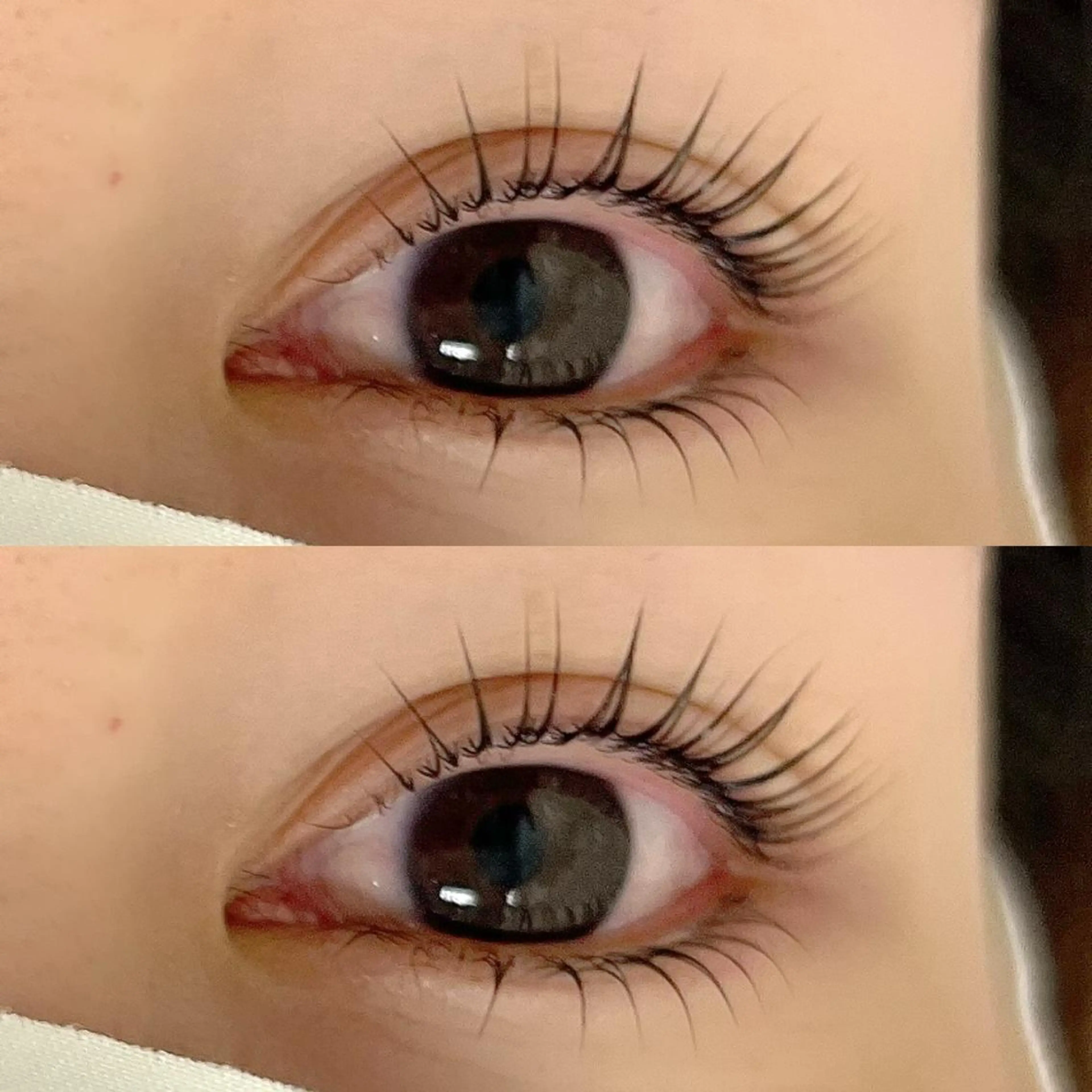 ◎上下パリジェンヌラッシュリフト🌹の写真