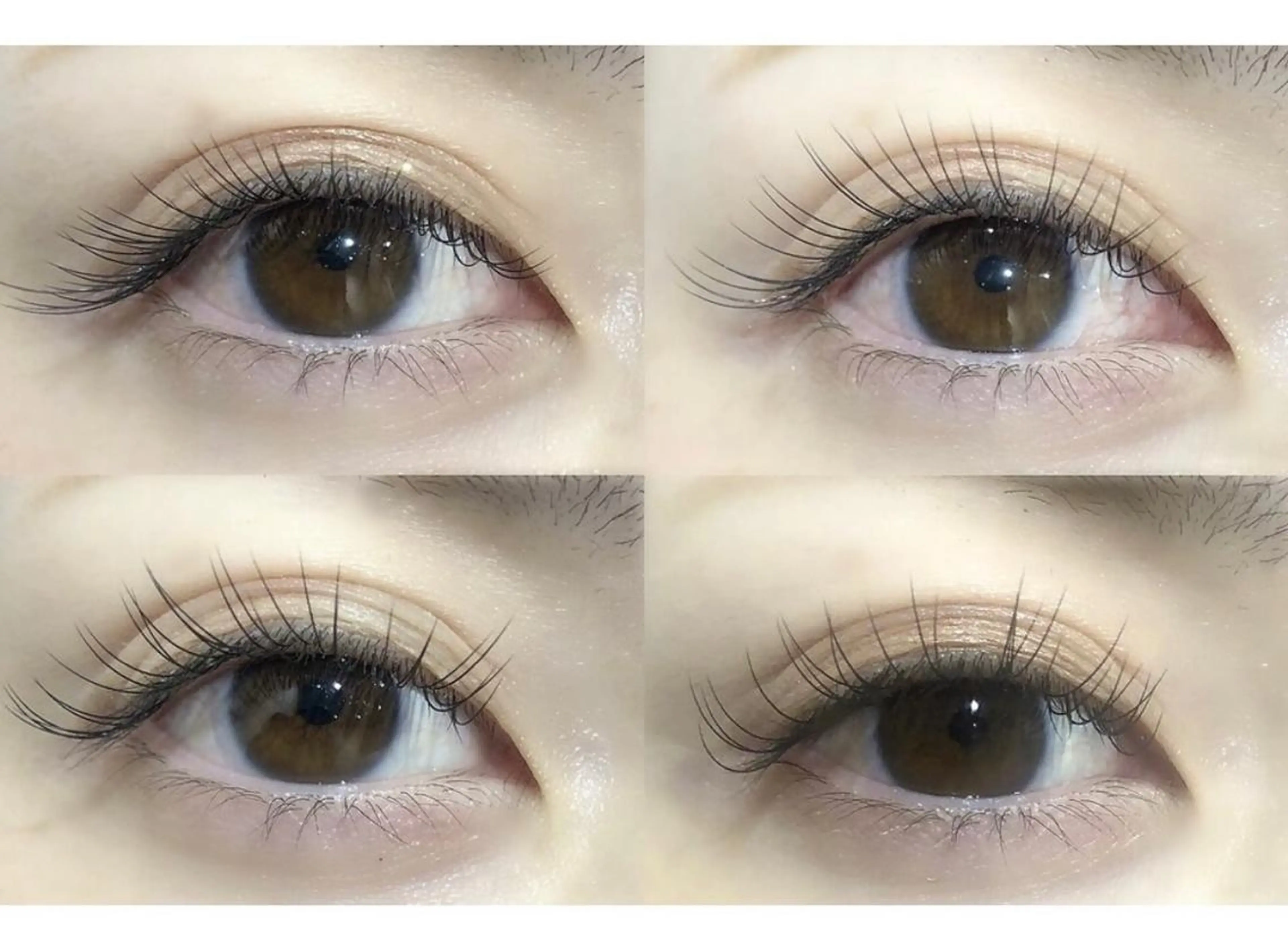 マツエク・マツパ Dカール ドーリーラッシュ プラリバ店所属・ドーリーラッシュ 清水のマツエク・マツパデザイン