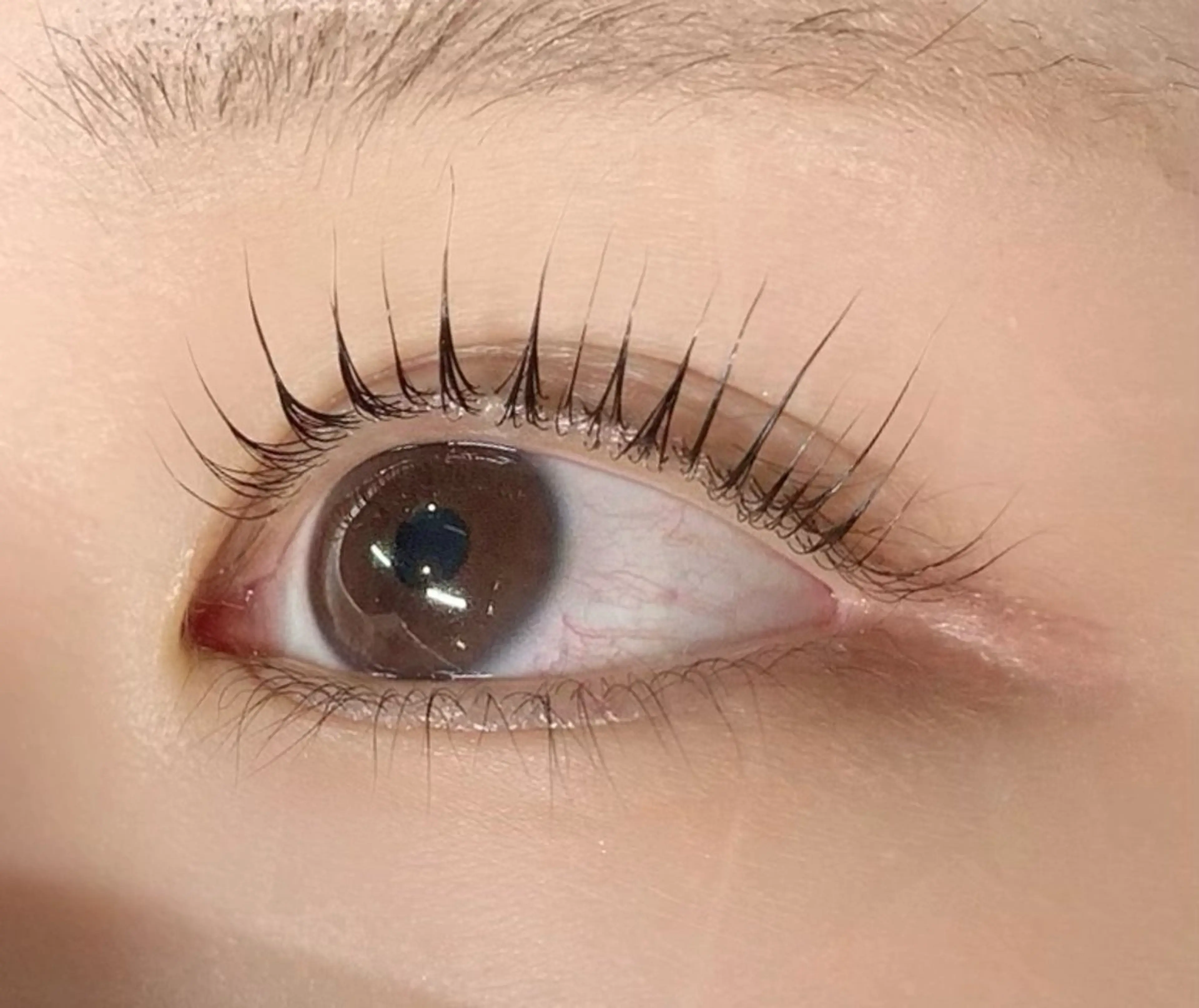 マツエク・マツパ アミーラ所属・Amira/アミーラ YU-KA🤍のマツエク・マツパデザイン