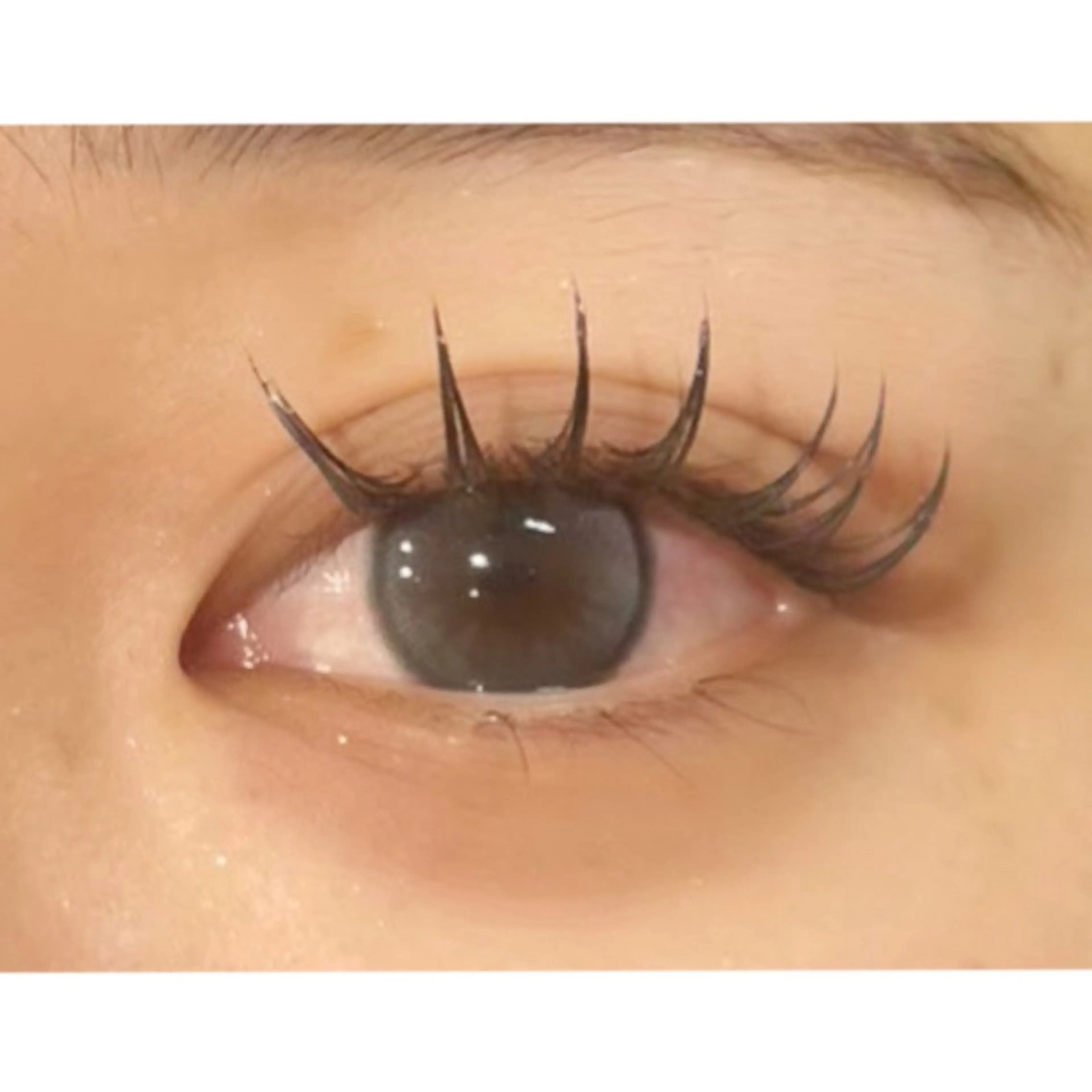 【年末企画】👁️ バインドロック80束 シングルラッシュオフ無料 ⚠︎必ず注意事項をご確認ください。の写真