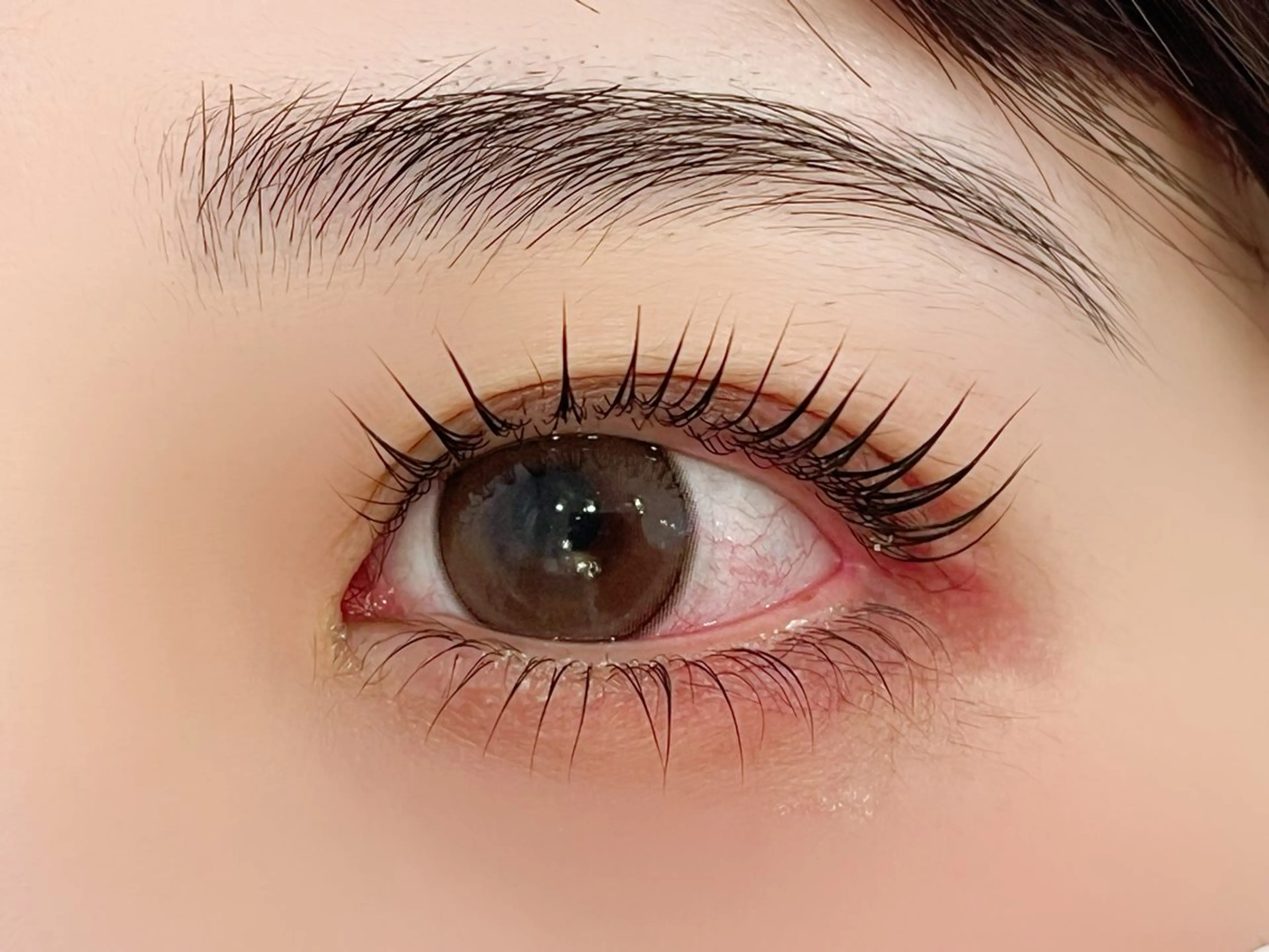 まつげパーマ上下🎀🩷の写真