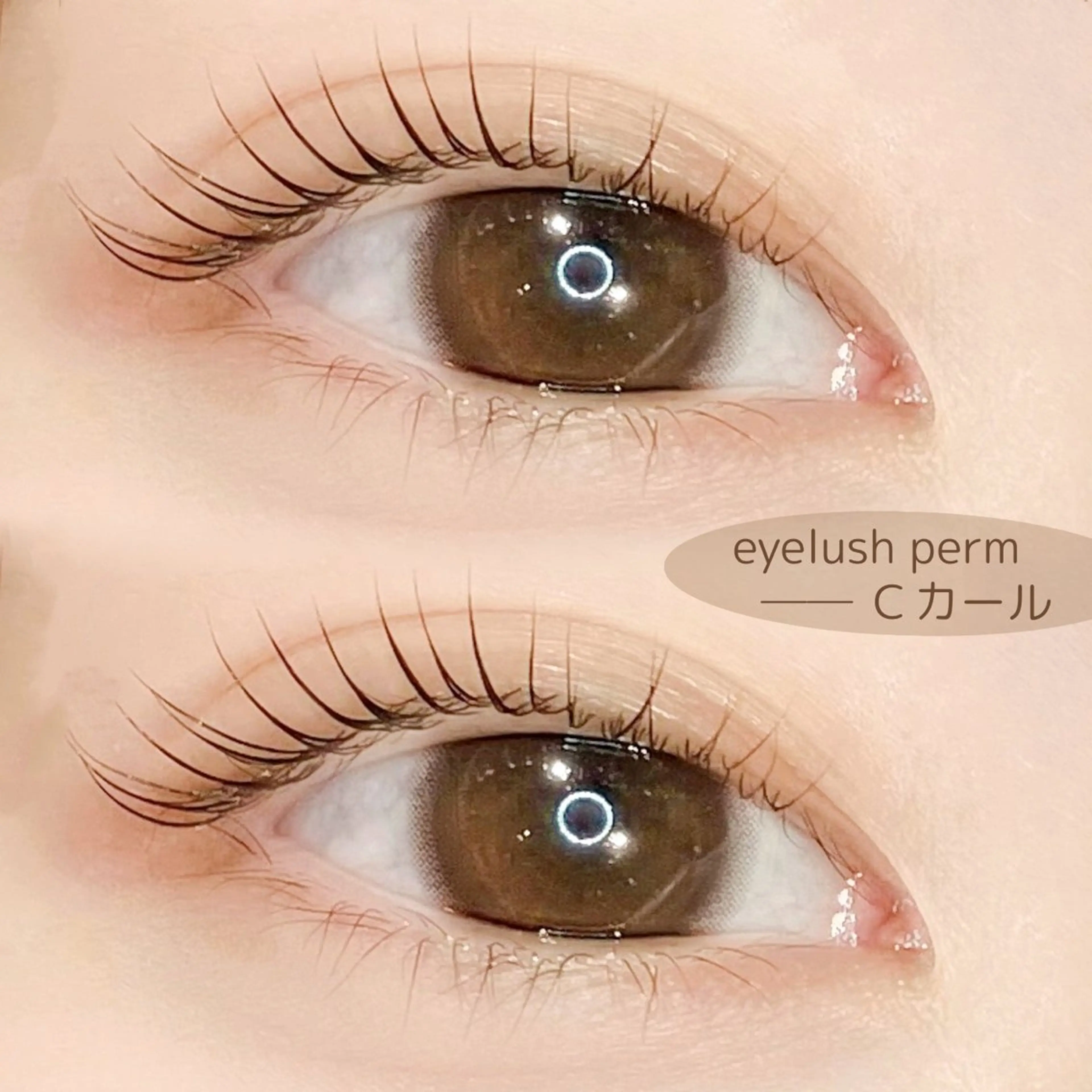 マツエク・マツパ スズキアキエ/ 髪質改善/艶髪カラーのマツエク・マツパデザイン