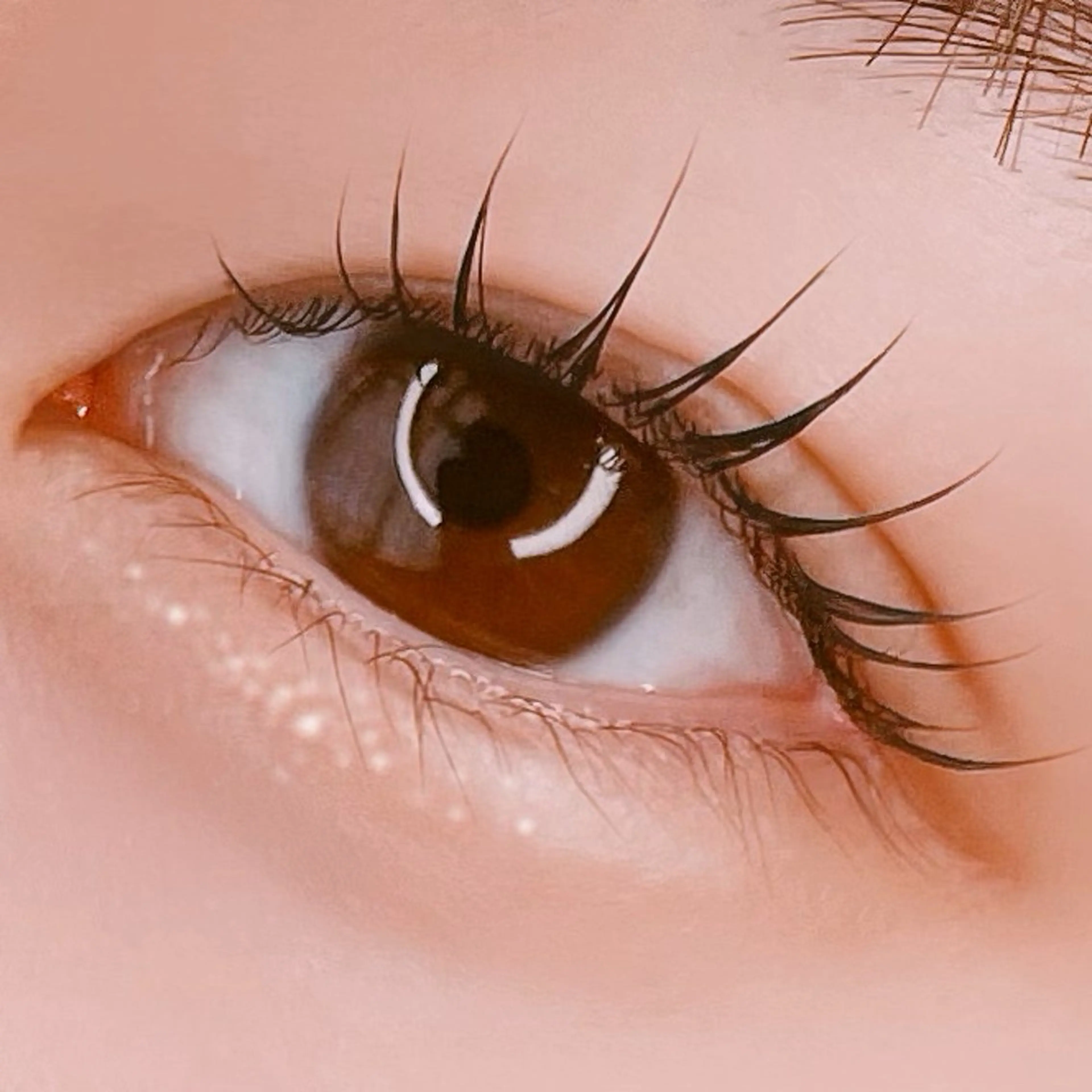 🌼韓国ロッドまつげパーマ(ピーナッツロッド)トリートメント付き🎶の写真