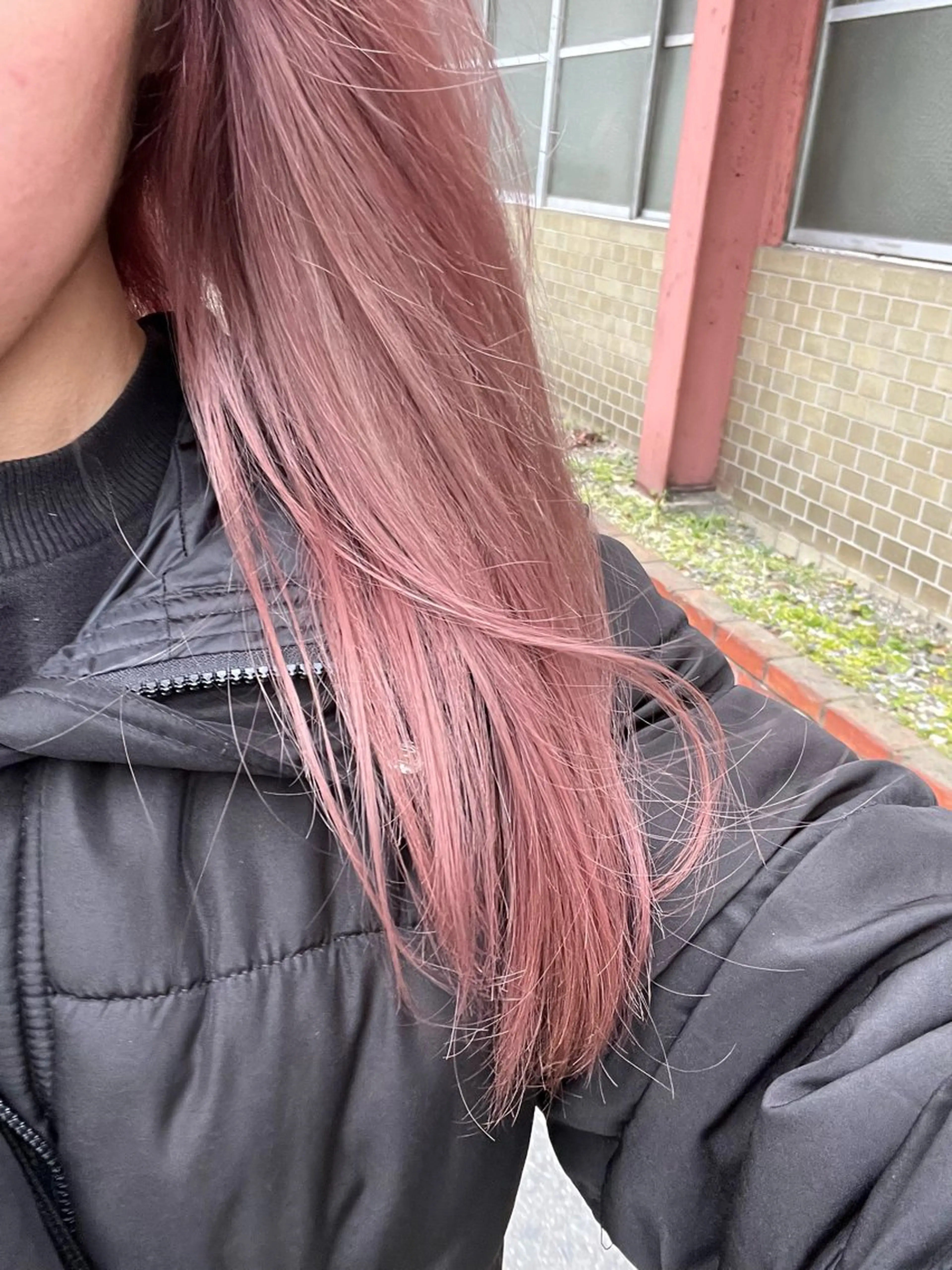 セミロング カラー ヘアカラー 美髪/グレイカラー 漆谷妃茉莉🌷のヘアスタイル