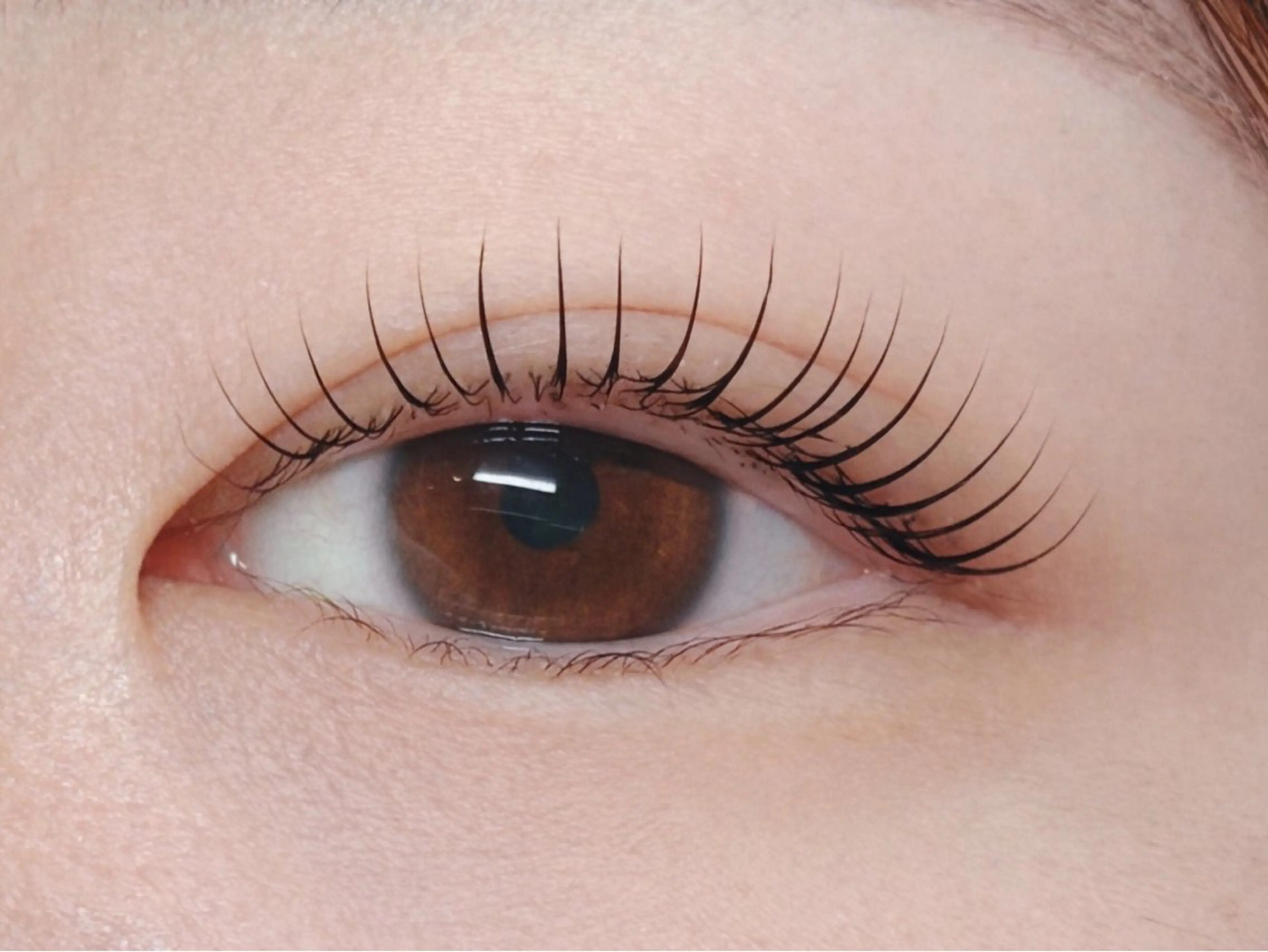 マツエク・マツパ Melia Chieのマツエク・マツパデザイン