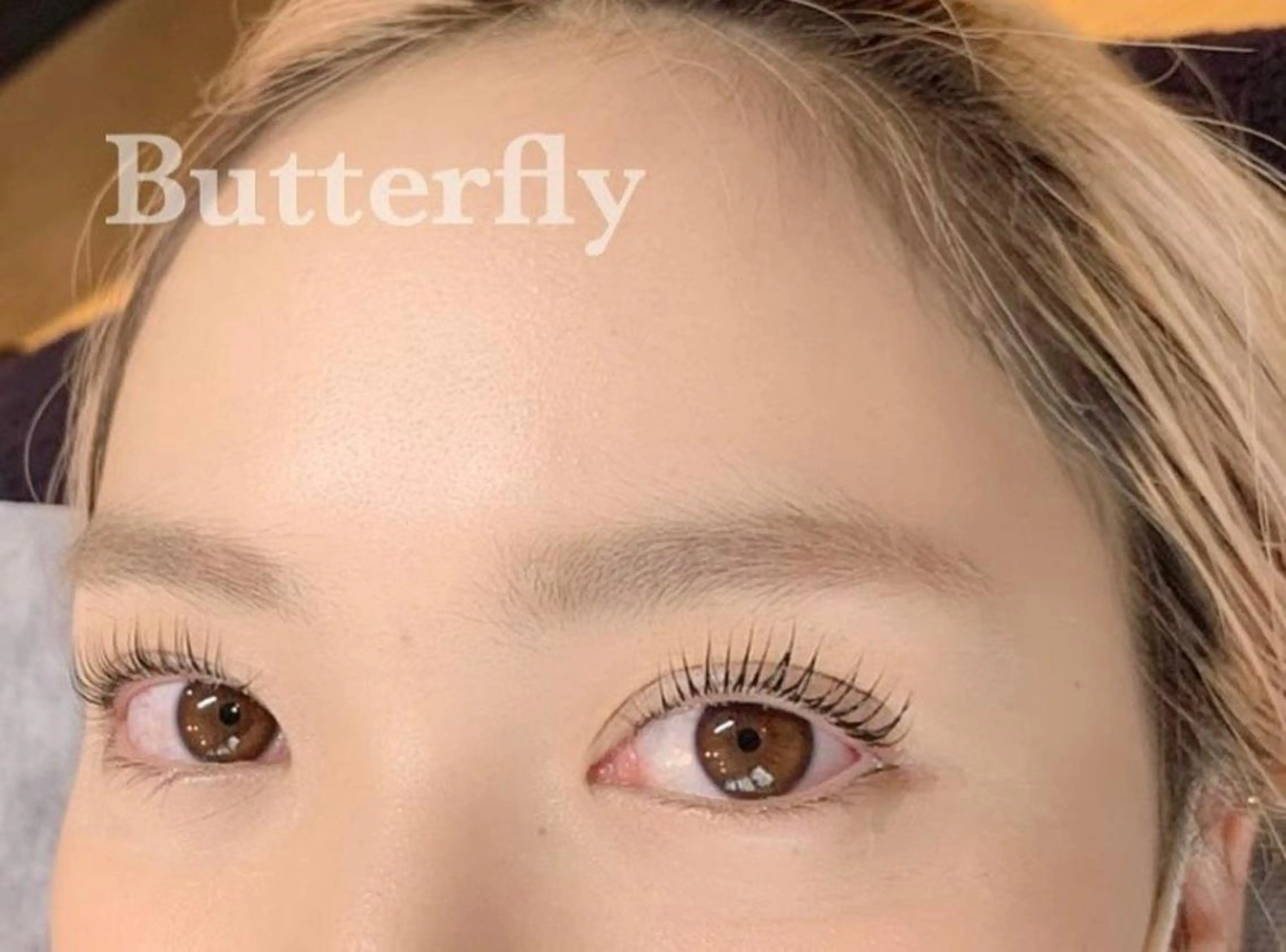 マツエク・マツパ Butterfly 平塚店   横山のマツエク・マツパデザイン