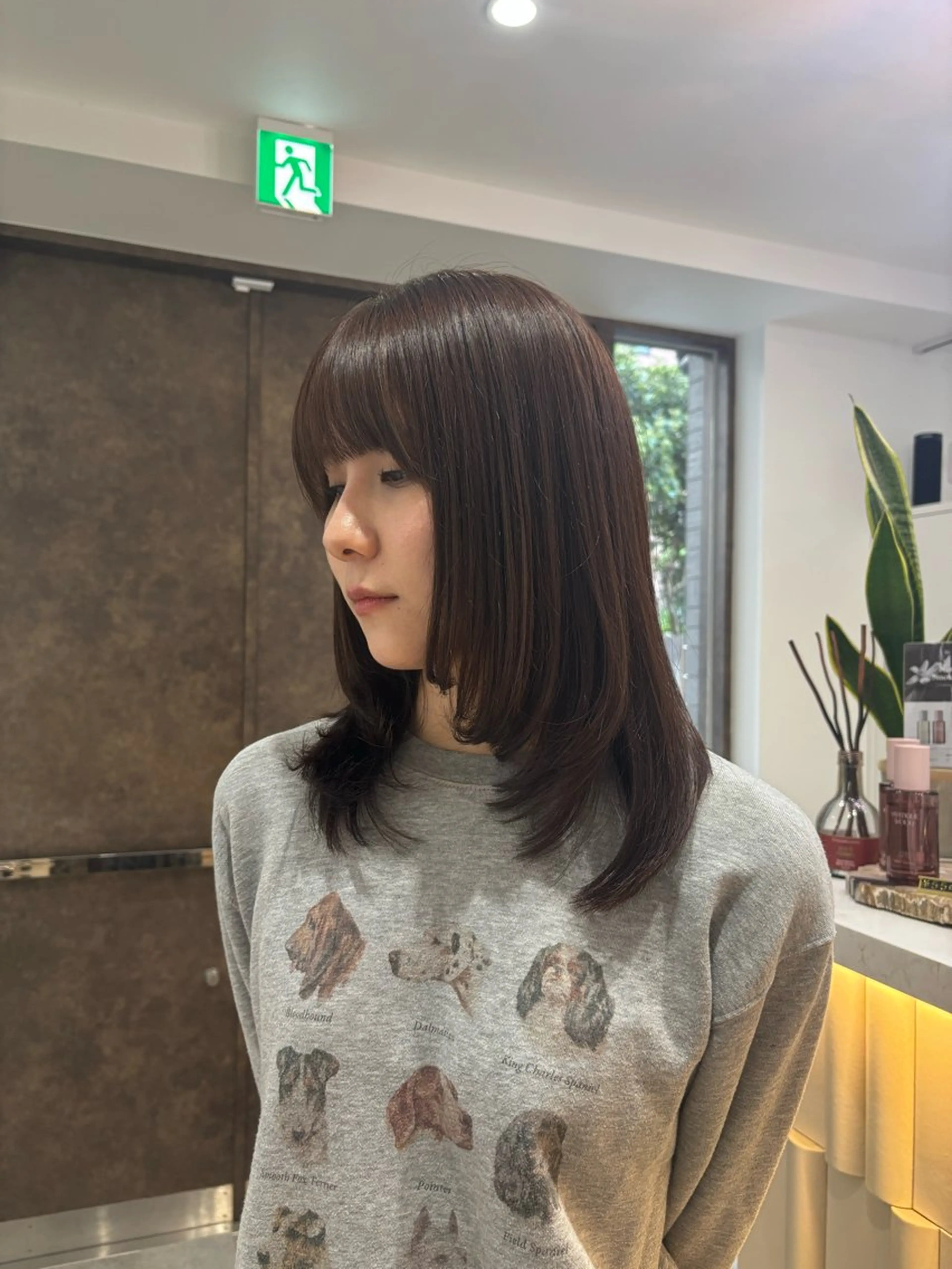 カラー ベージュカラー 透明感カラー カット ヘアカラー AO所属・ボブ/ハイライト🦓 /harukaのヘアスタイル