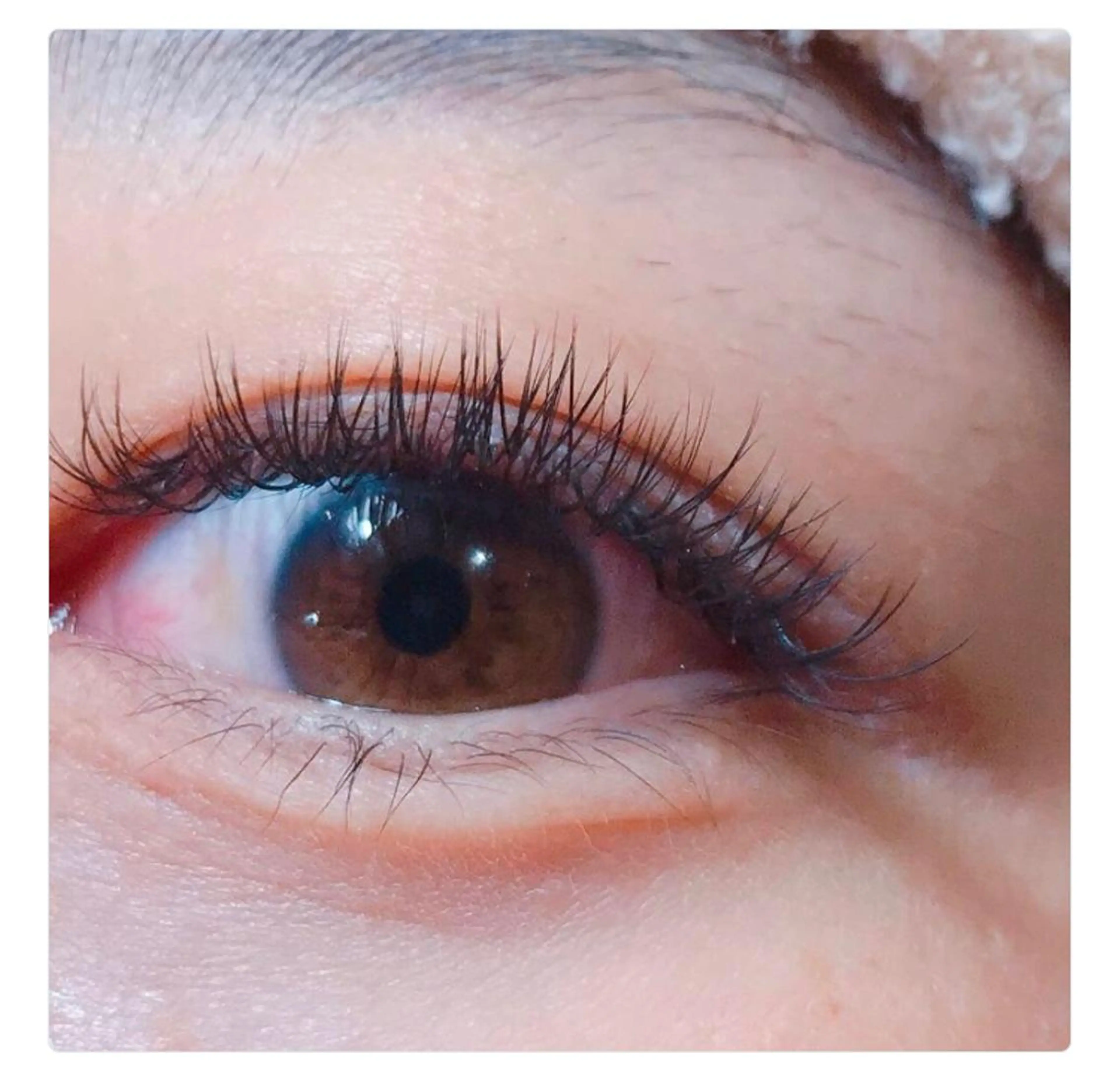 マツエク・マツパ Eye'llbe lash《アイビーラッシュ》所属・Eye'llbe lashのその他イメージ