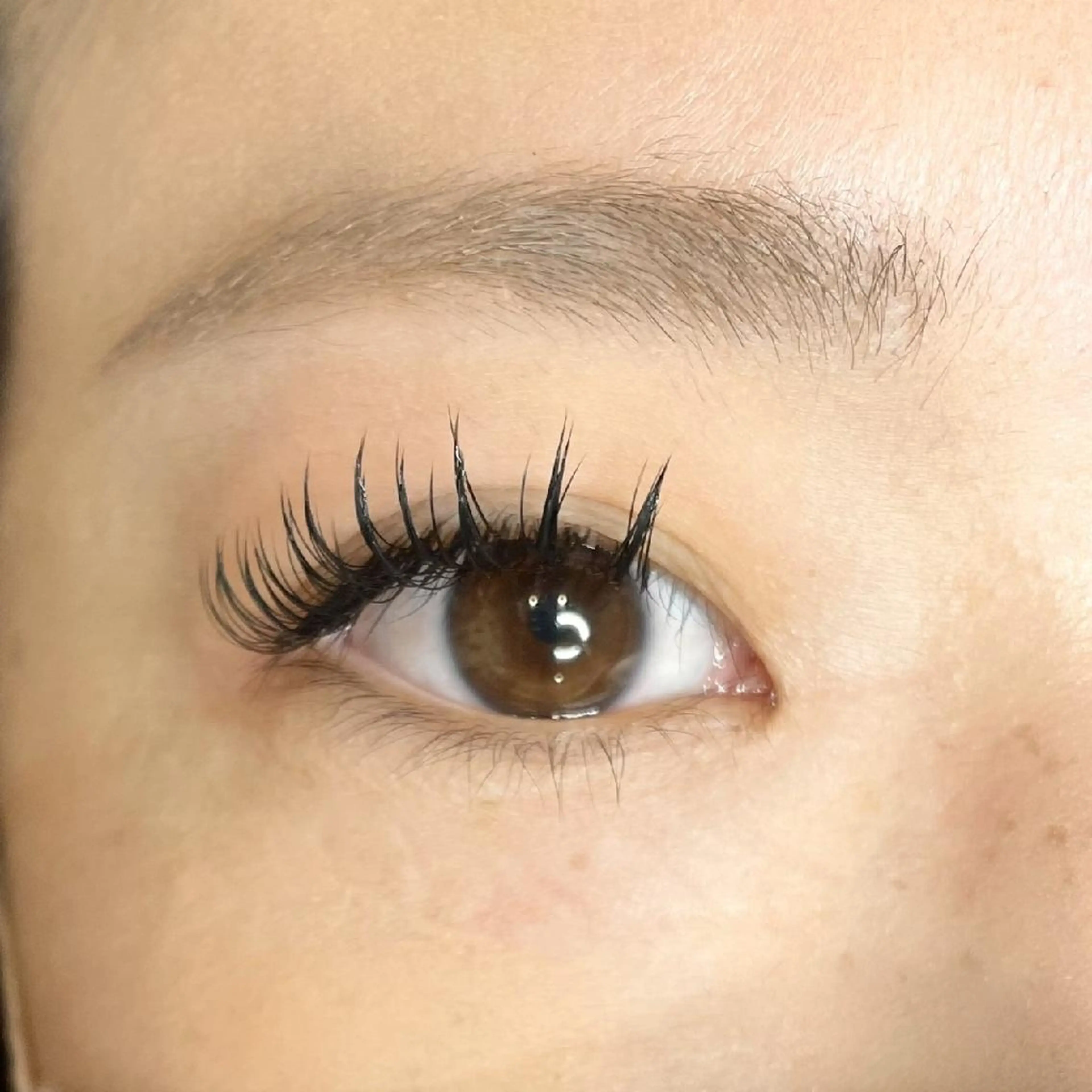 【付け替えオフ込み】フラットラッシュ120本　¥6,500→¥6,000の写真