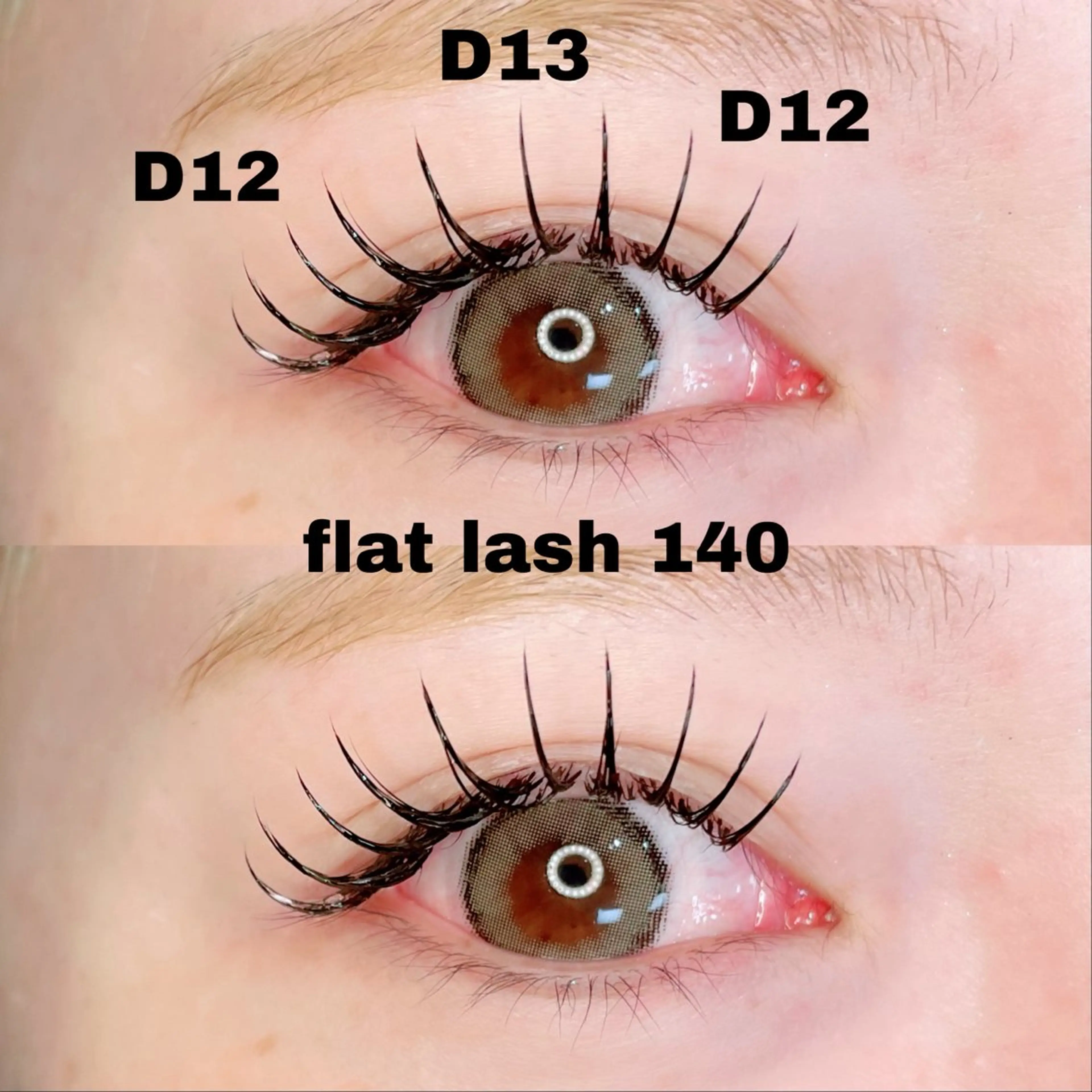 【12月LEDマツエク40%OFF】 フラットラッシュ"目安120本" 完全硬化［再来様／オフ代 各500円］の写真