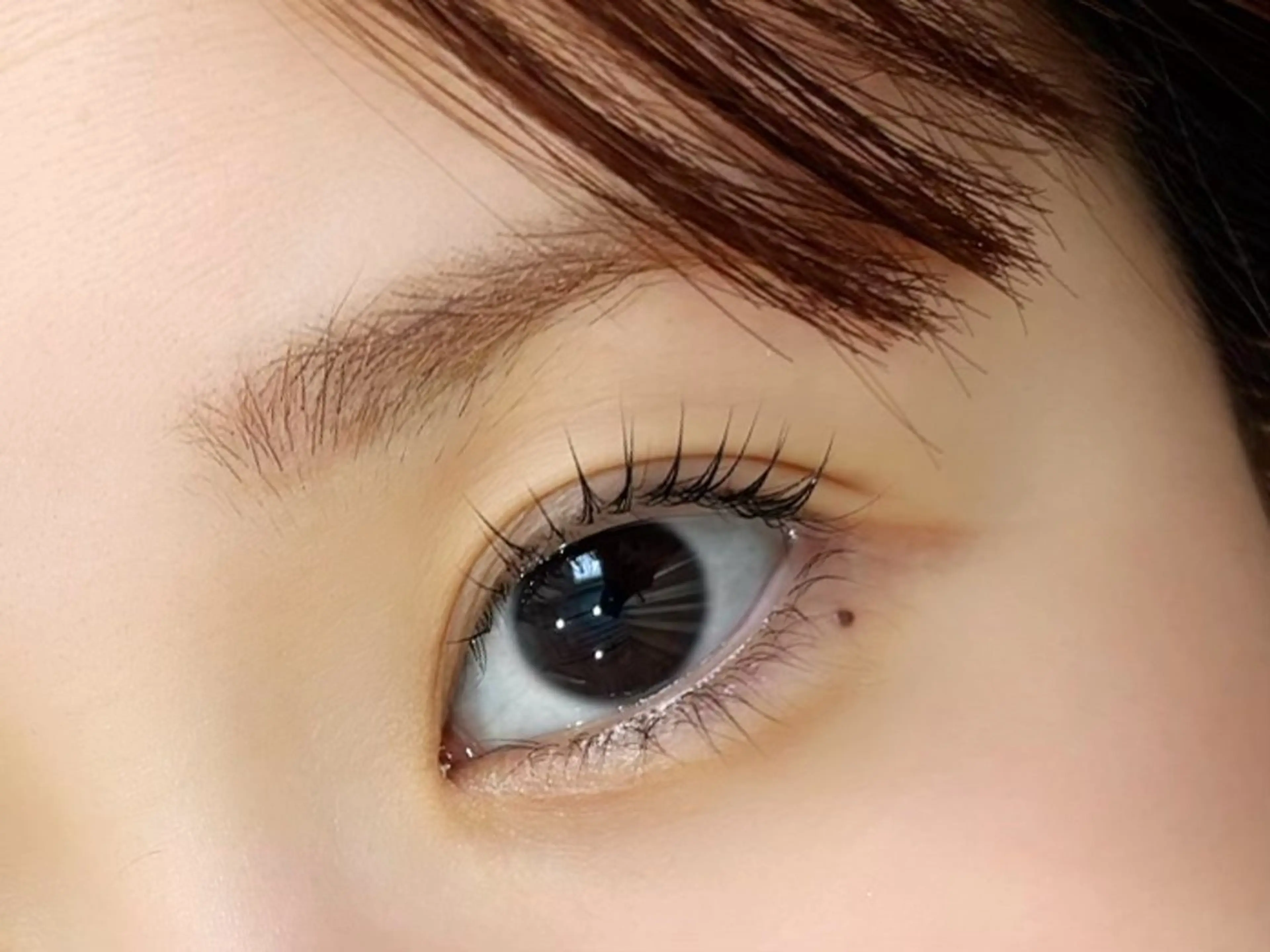 マツエク・マツパ マツパ HARP Eyelash所属・HARP 🌿 JURIのマツエク・マツパデザイン