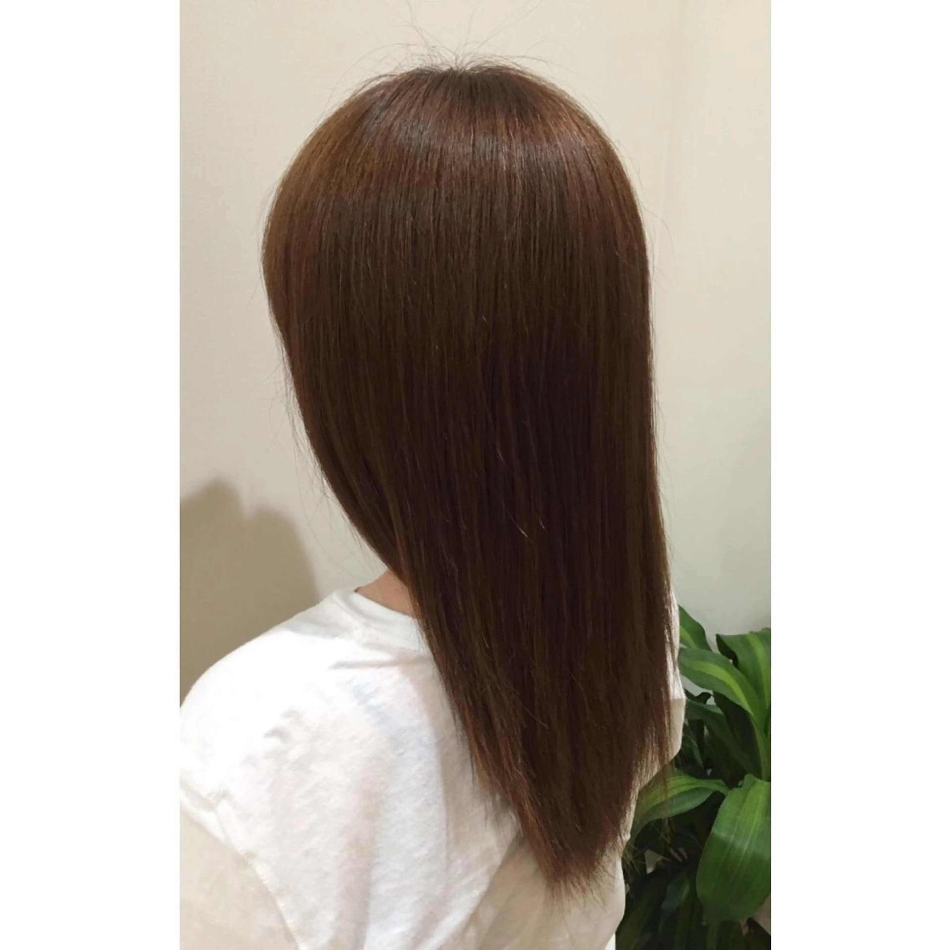 ロング カラー ヘアアレンジ ブラウンカラー ナチュラルブラウン 福壽 優奈のヘアスタイル