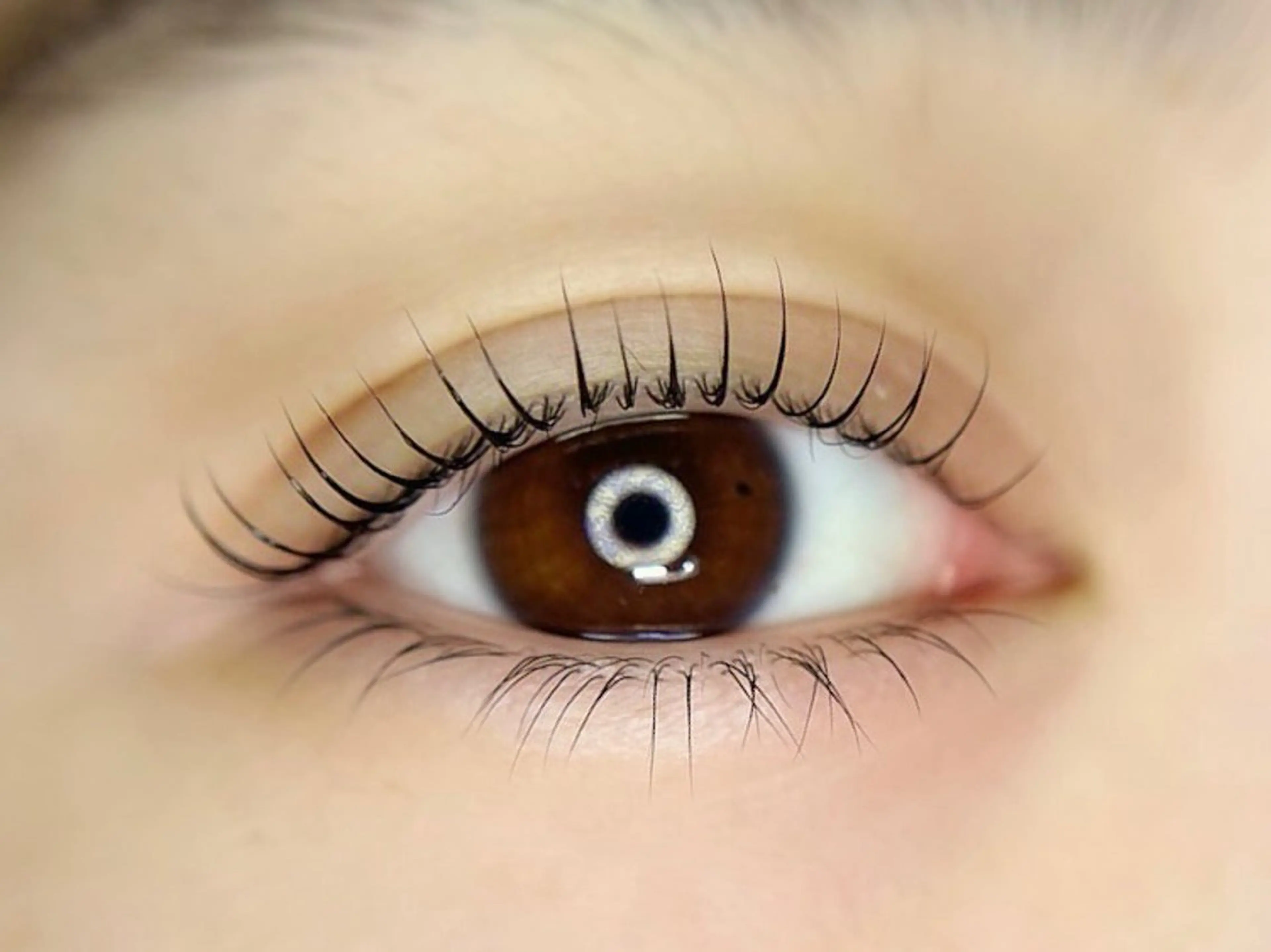 マツエク・マツパ マツパ 🤍南流山MaaZ staff1⃣🤍のマツエク・マツパデザイン