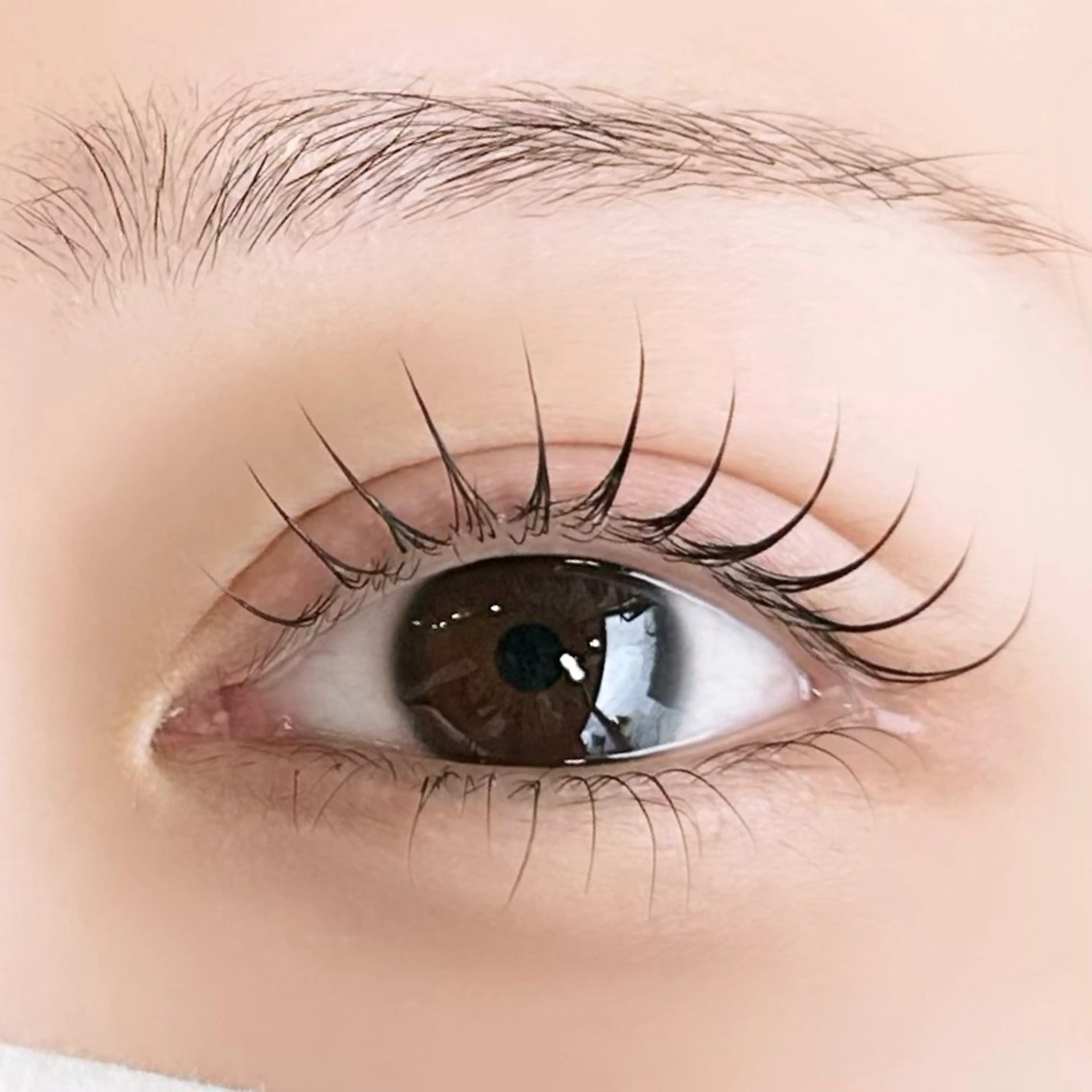 マツエク・マツパ 束感まつ毛 Cカール 韓国風マツエク 一重×まつ毛パーマ マツパ cielo 🎀 niina 🎀の眉毛・アイブロウイメージ