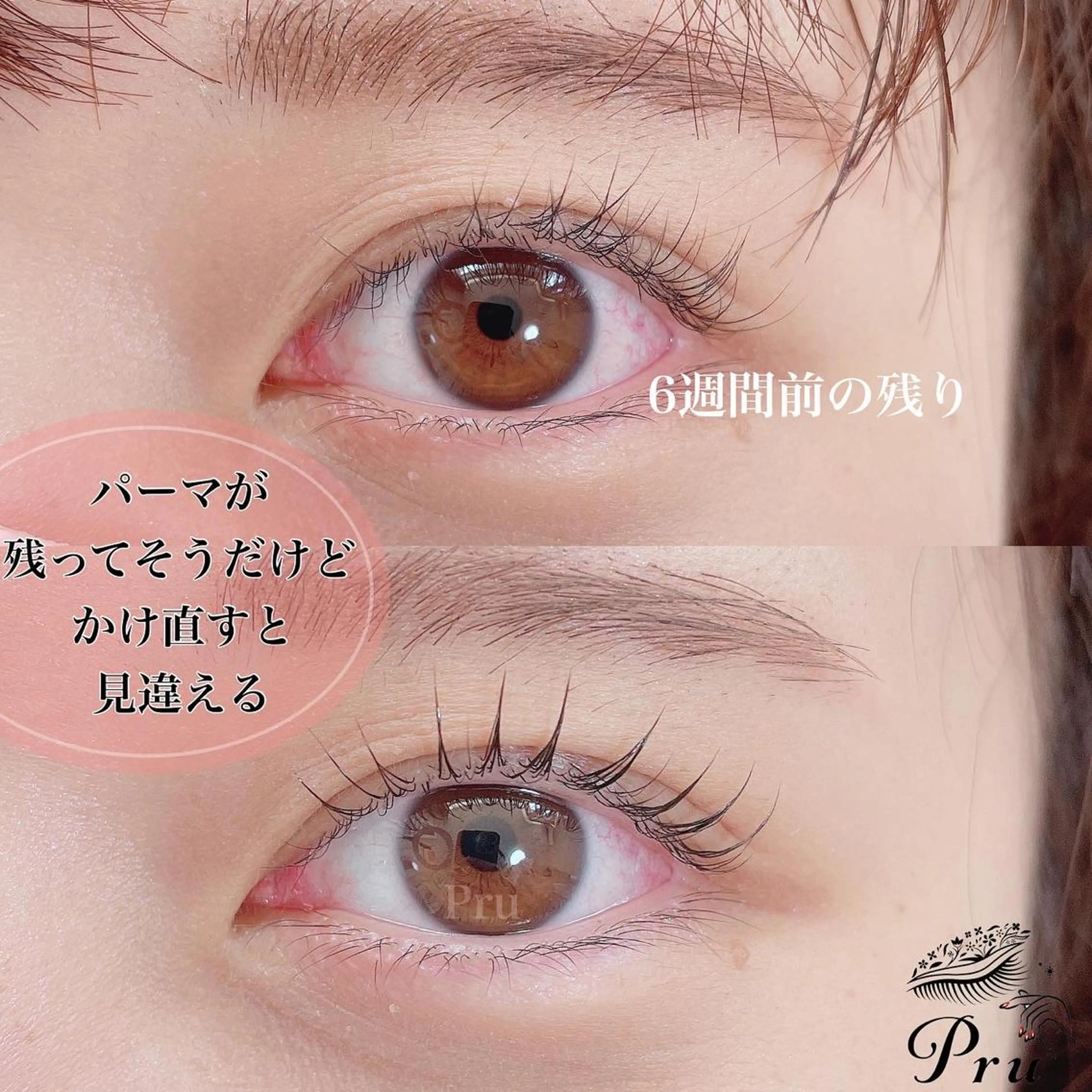 マツエク・マツパ キュート マツパ プル eyelashのマツエク・マツパデザイン
