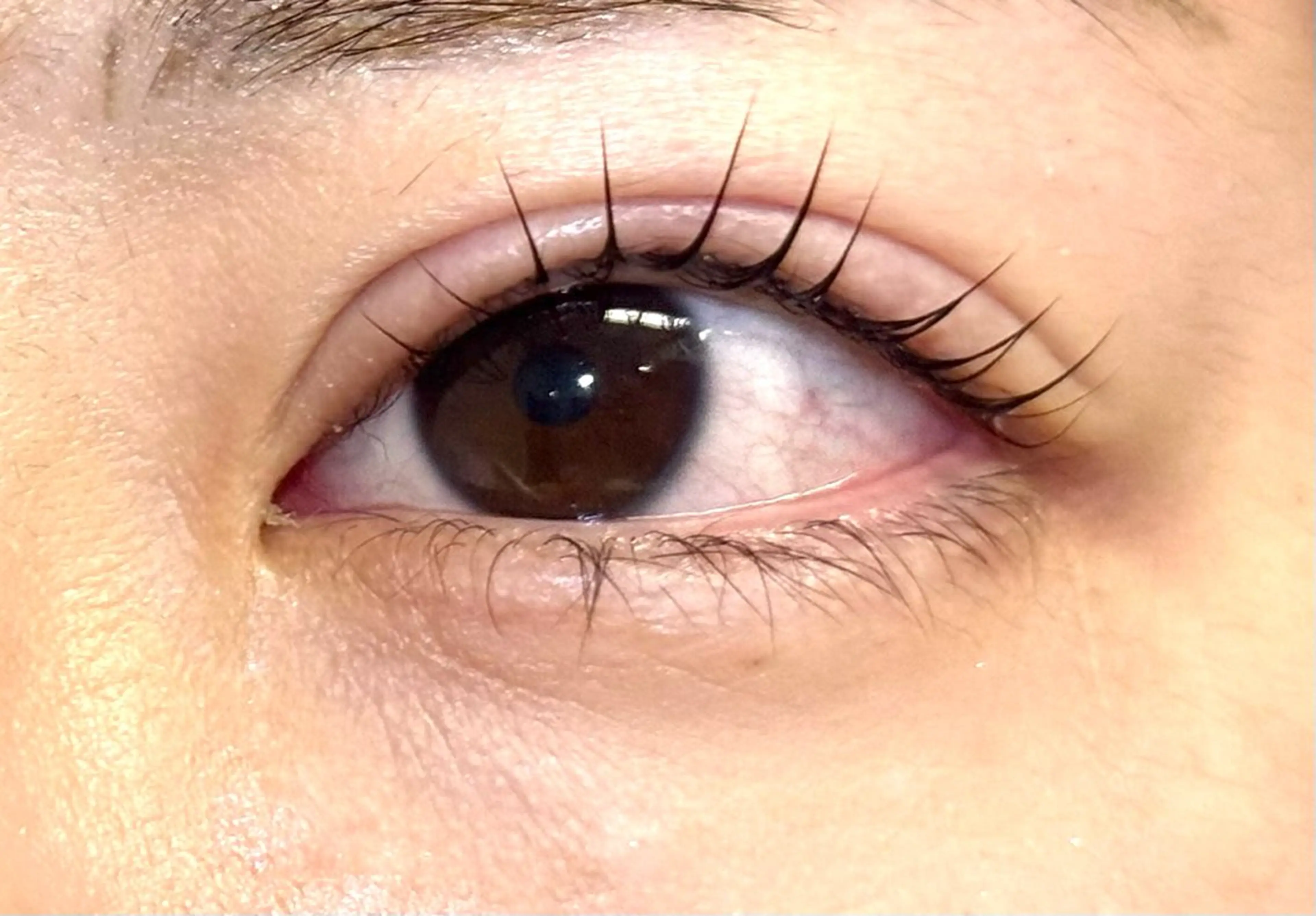 パーマ pritia博多店所属・pritia博多店 田中のマツエク・マツパデザイン