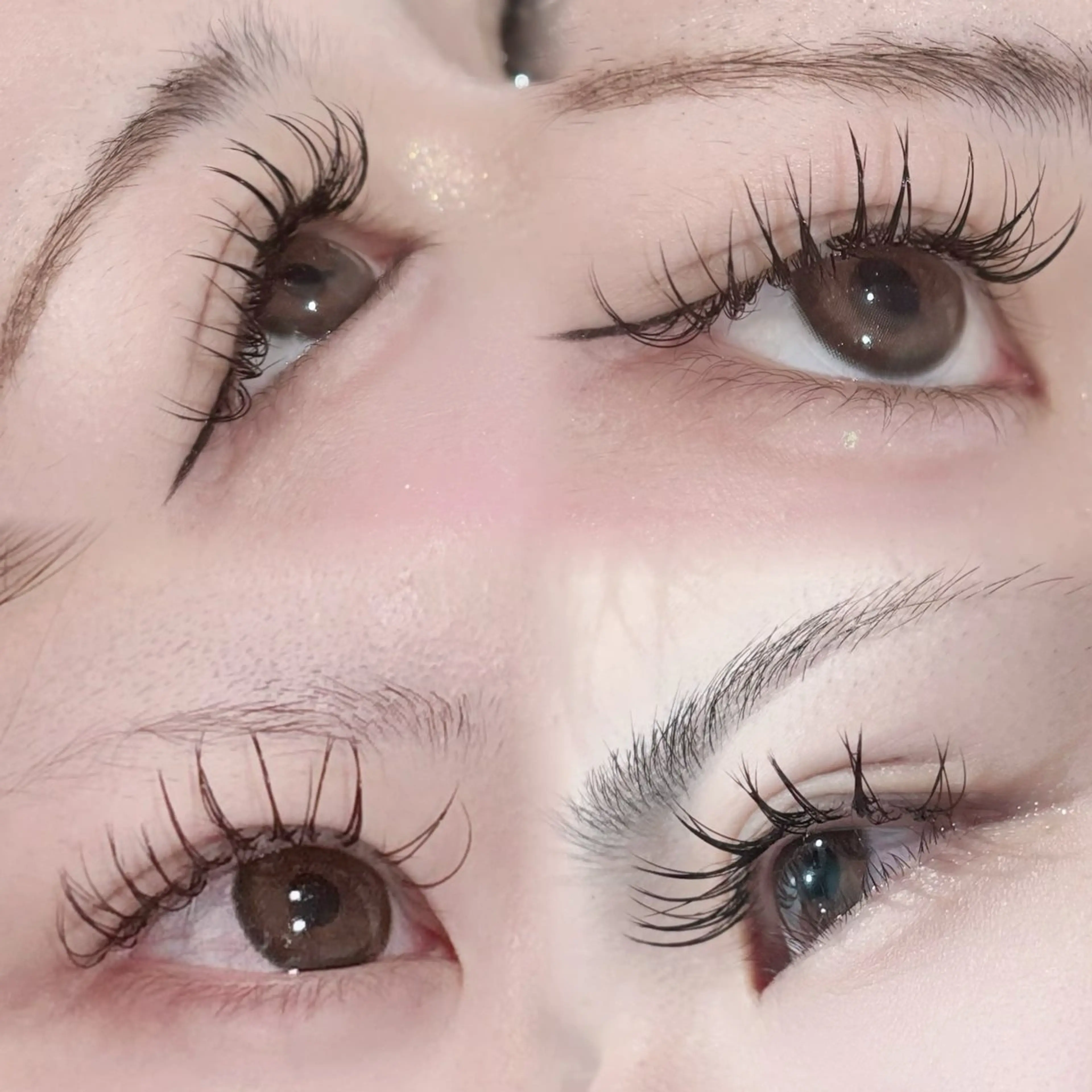 【学割U24】 カシミアフラットラッシュ 100本 ¥2900の写真