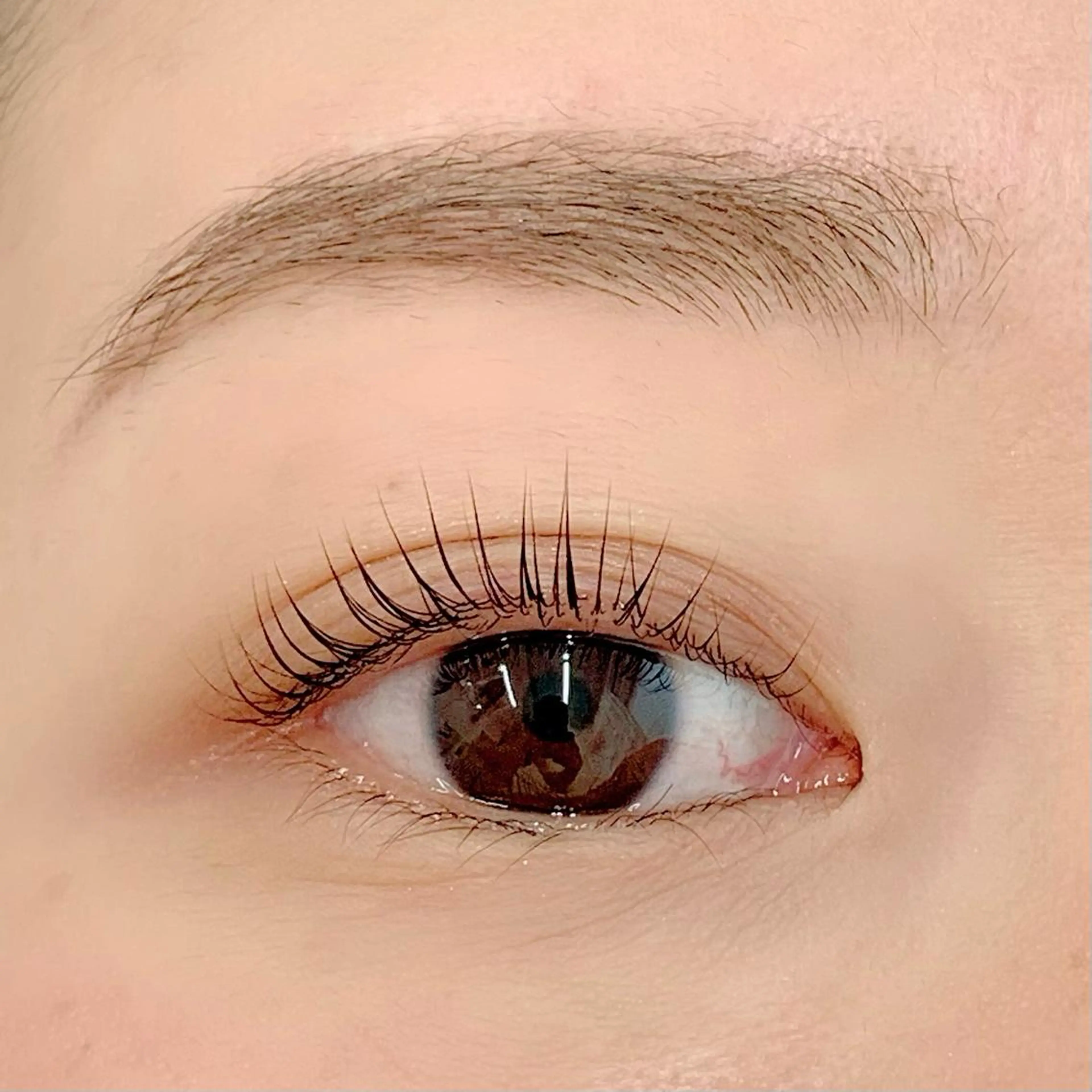 マツエク・マツパ パリジェンヌラッシュリフト BellFlower Aki（眉・まつげ）のマツエク・マツパデザイン