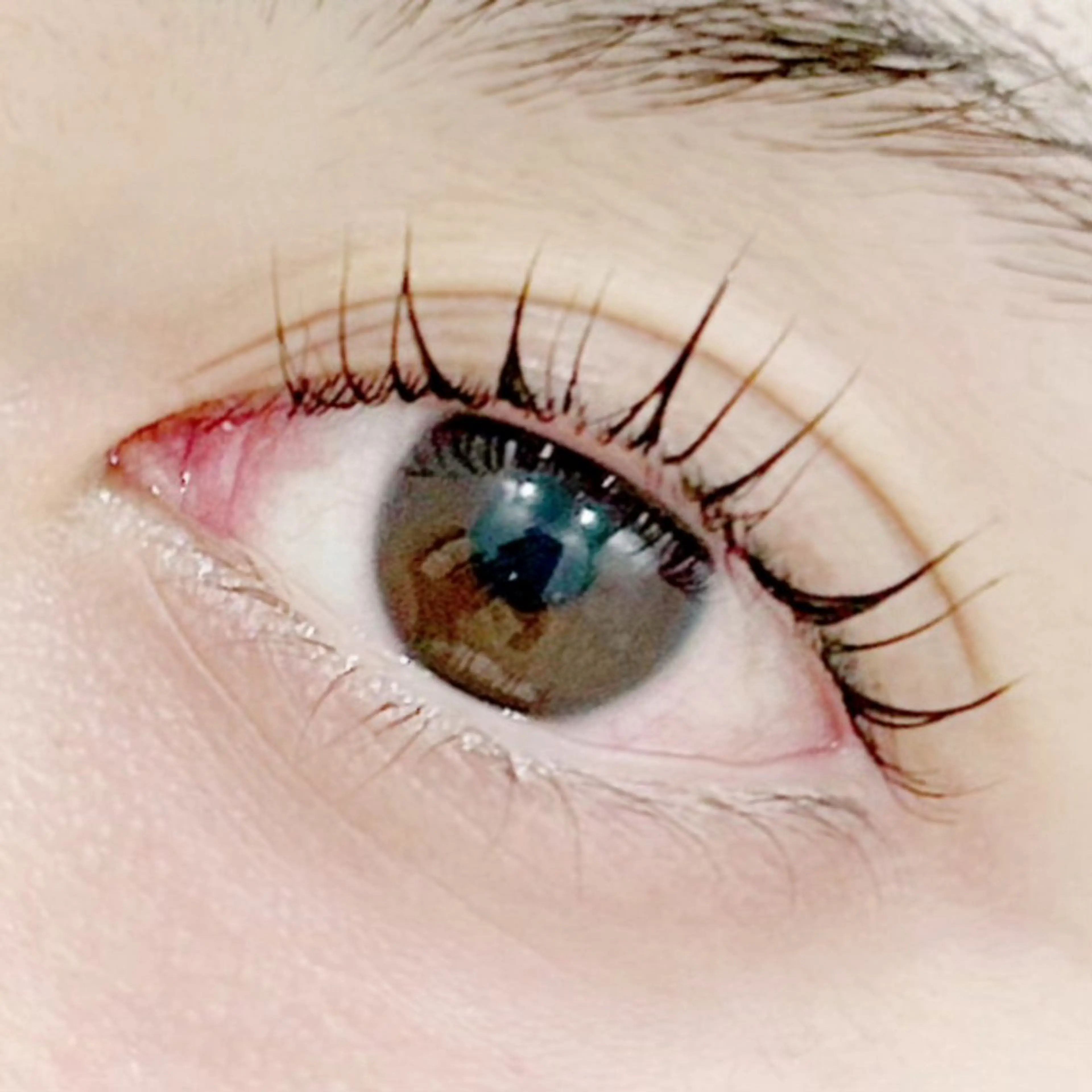 マツエク・マツパ YOSHIDA 🐰桜木町店の眉毛・アイブロウイメージ