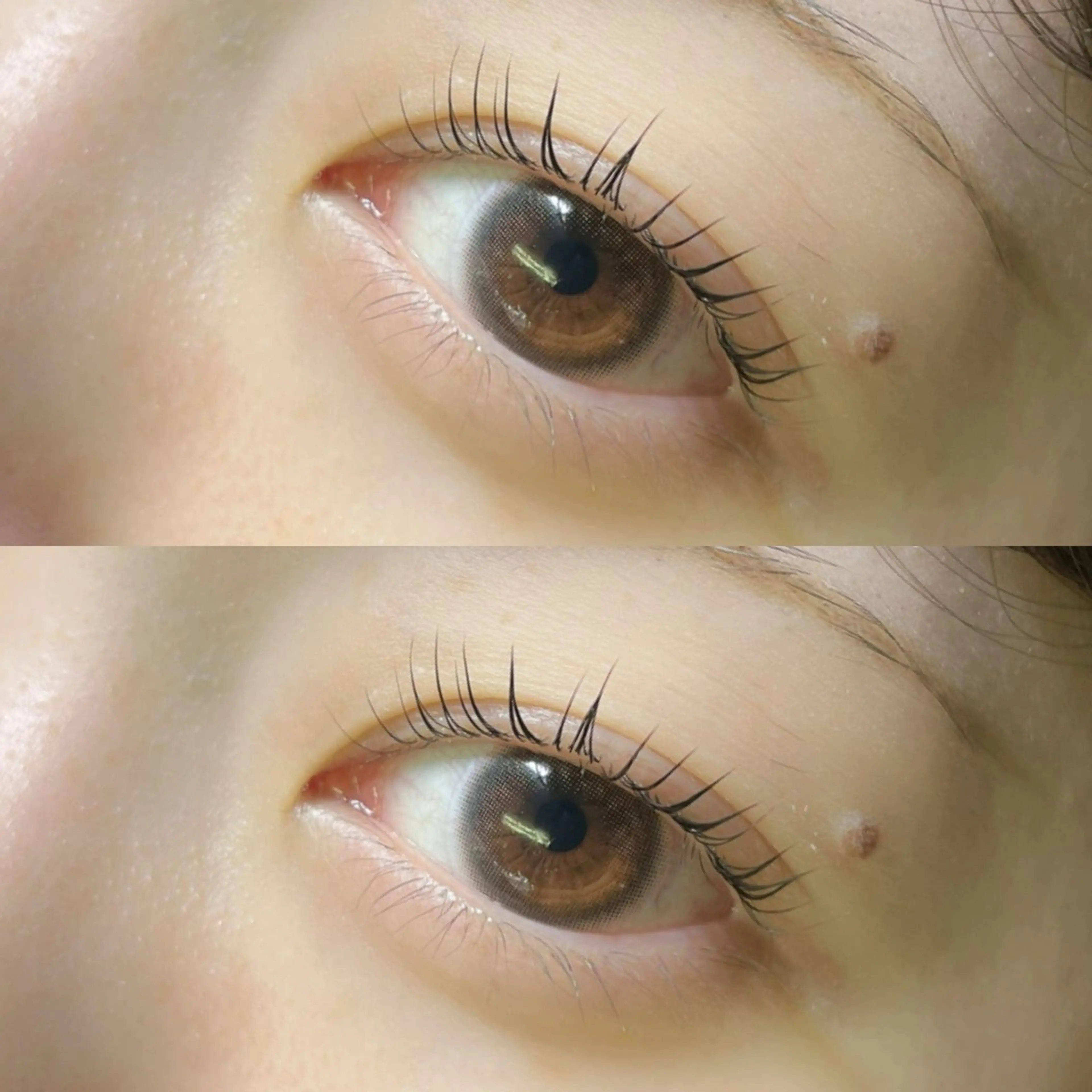 マツエク・マツパ マツパ リフュージュ　隠れ家所属・リフュージュ🌷 カホのマツエク・マツパデザイン