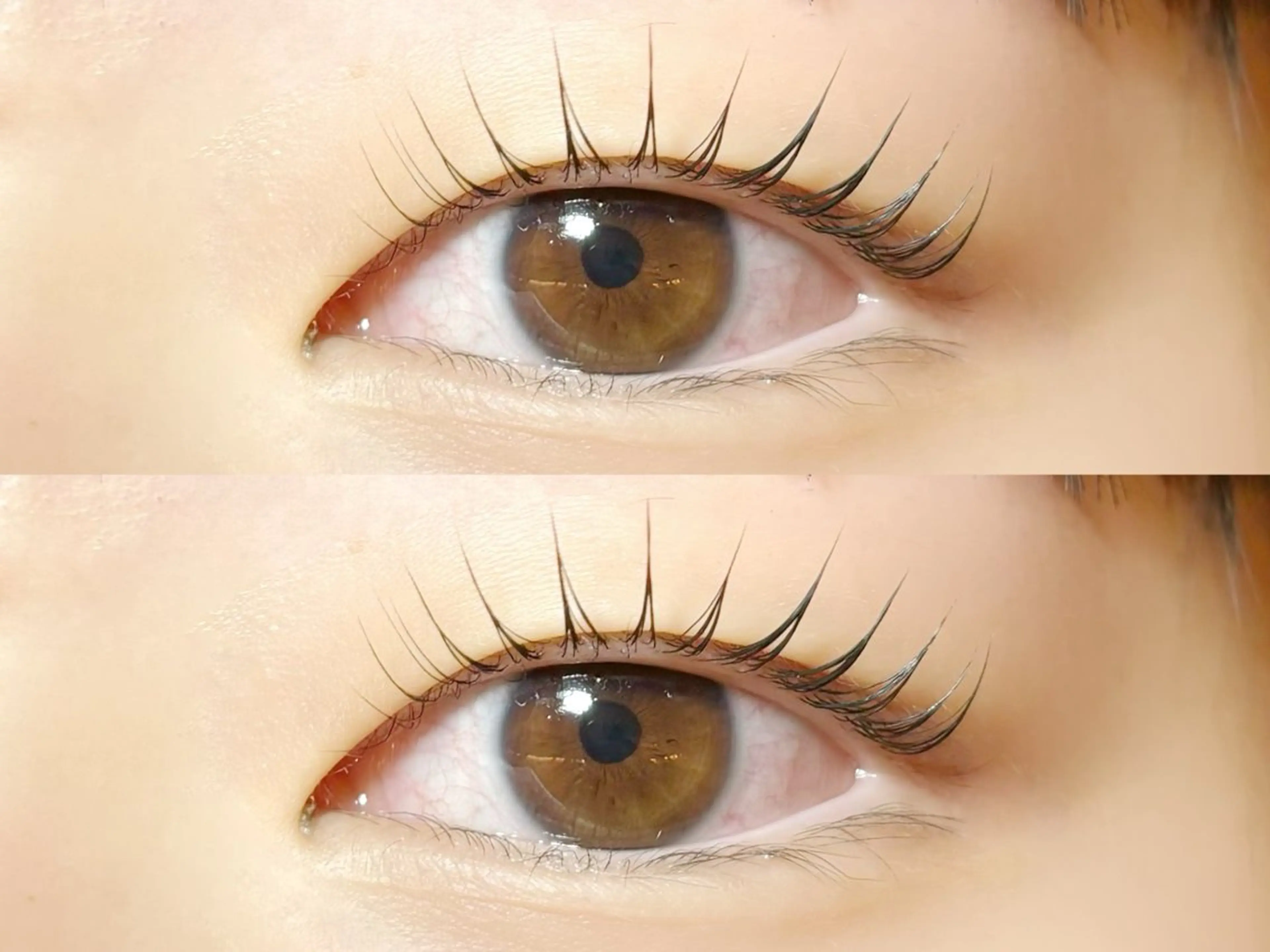 ãããšã¯ã»ããã ææãŸã€æ¯ ããªãžã§ã³ãã©ãã·ã¥ãªãã ããã TOP æåŠ»ã®ãããšã¯ã»ããããã¶ã€ã³