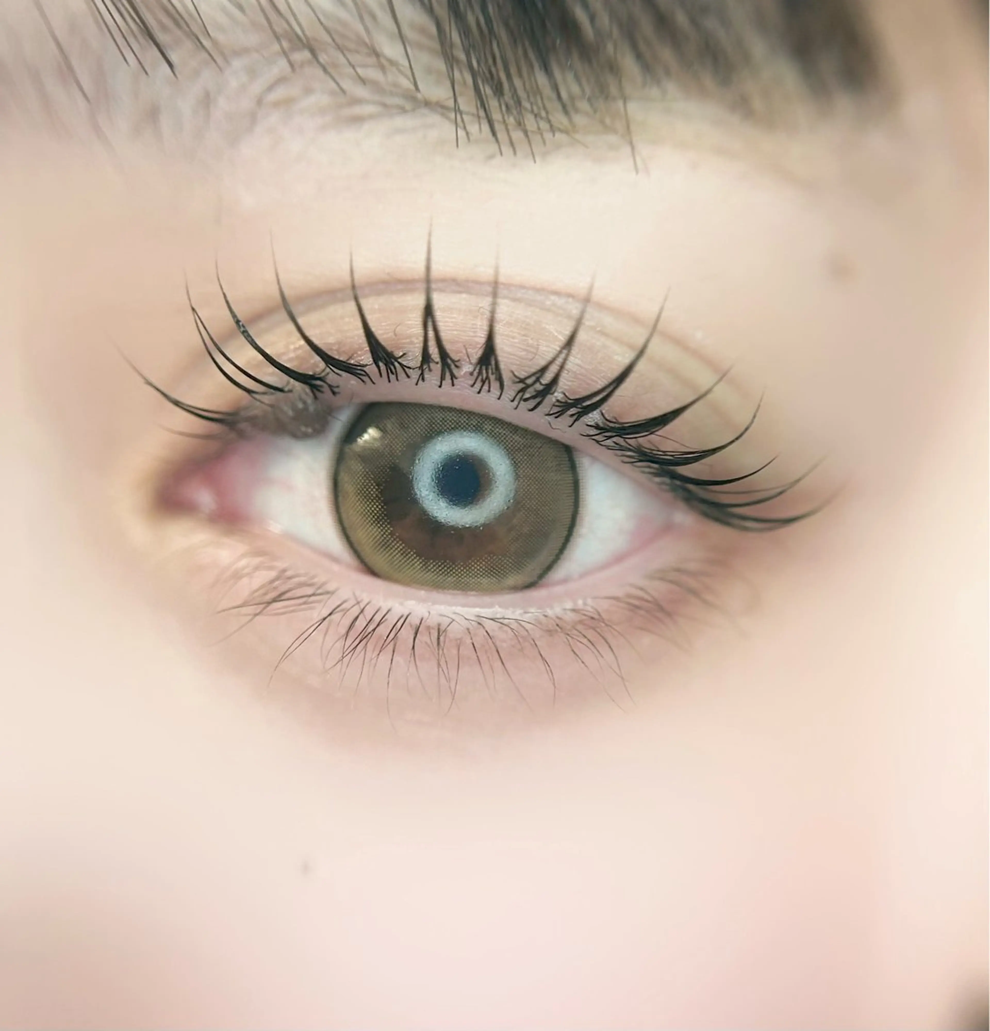 マツエク・マツパ マツパ eyelist. mizuki🐈‍⬛のマツエク・マツパデザイン