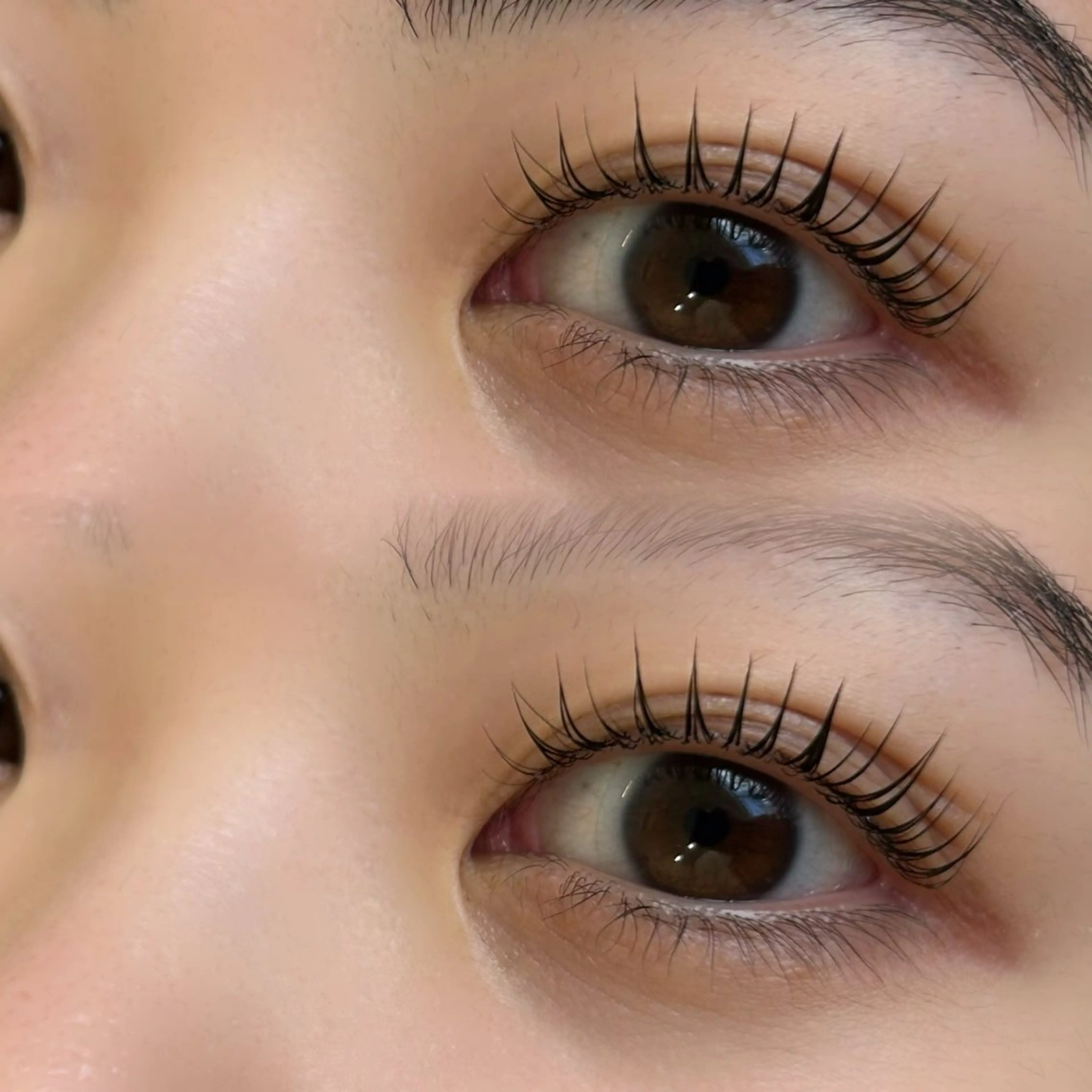 マツエク・マツパ ナチュラル shiho 🍒のマツエク・マツパデザイン