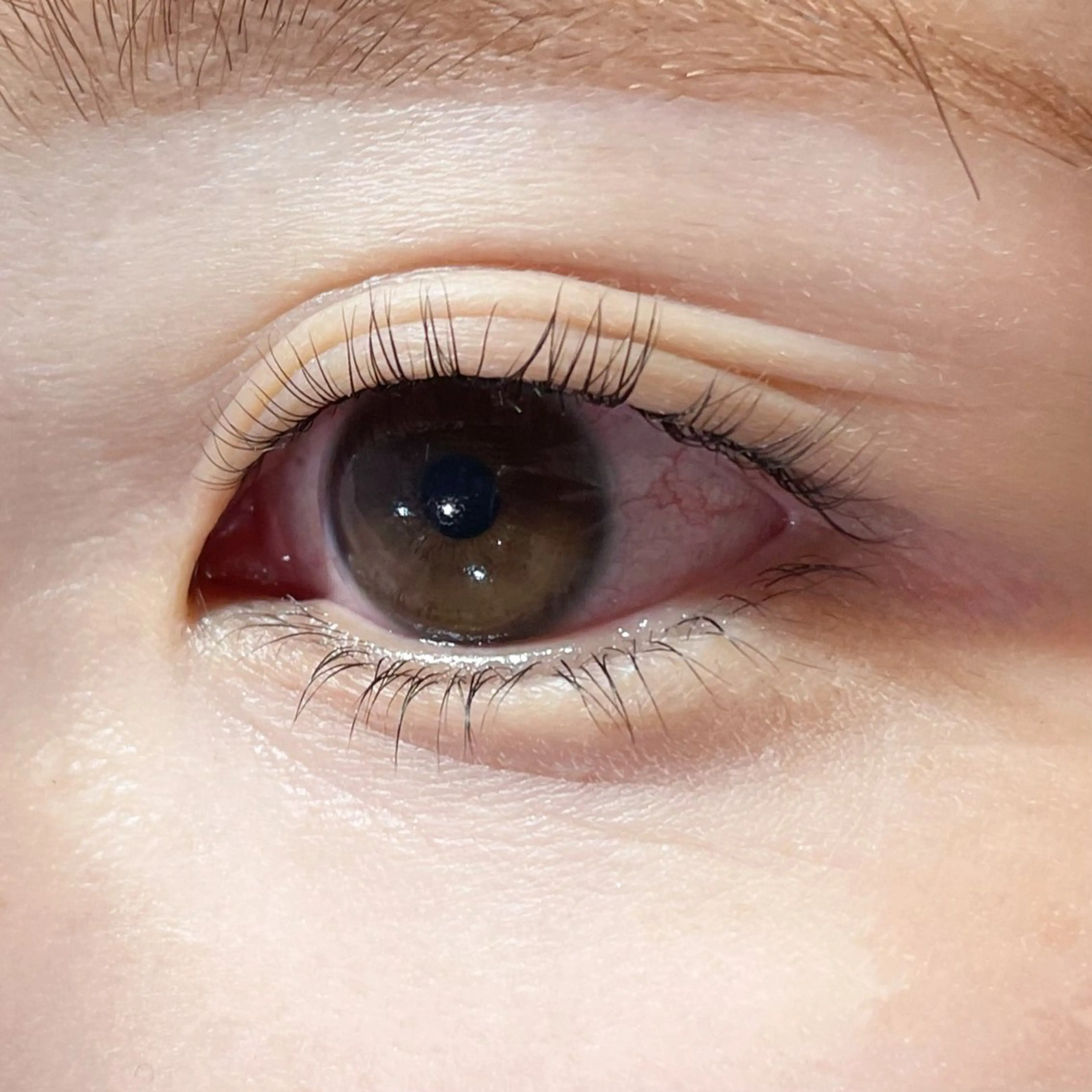 マツエク・マツパ マツパ 櫻井 怜華のマツエク・マツパデザイン