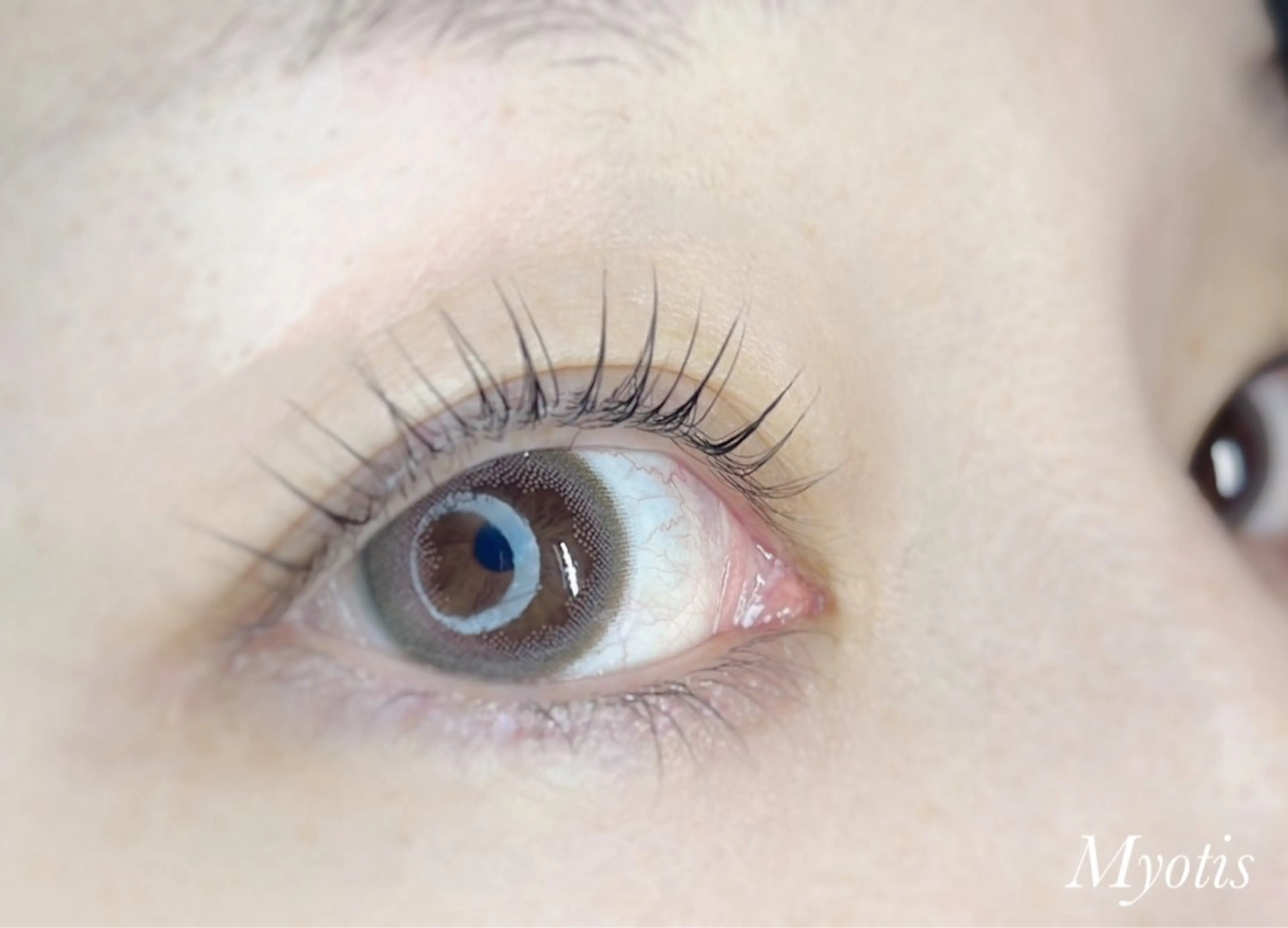 マツエク・マツパ Myotis所属・Myotis 松永のマツエク・マツパデザイン