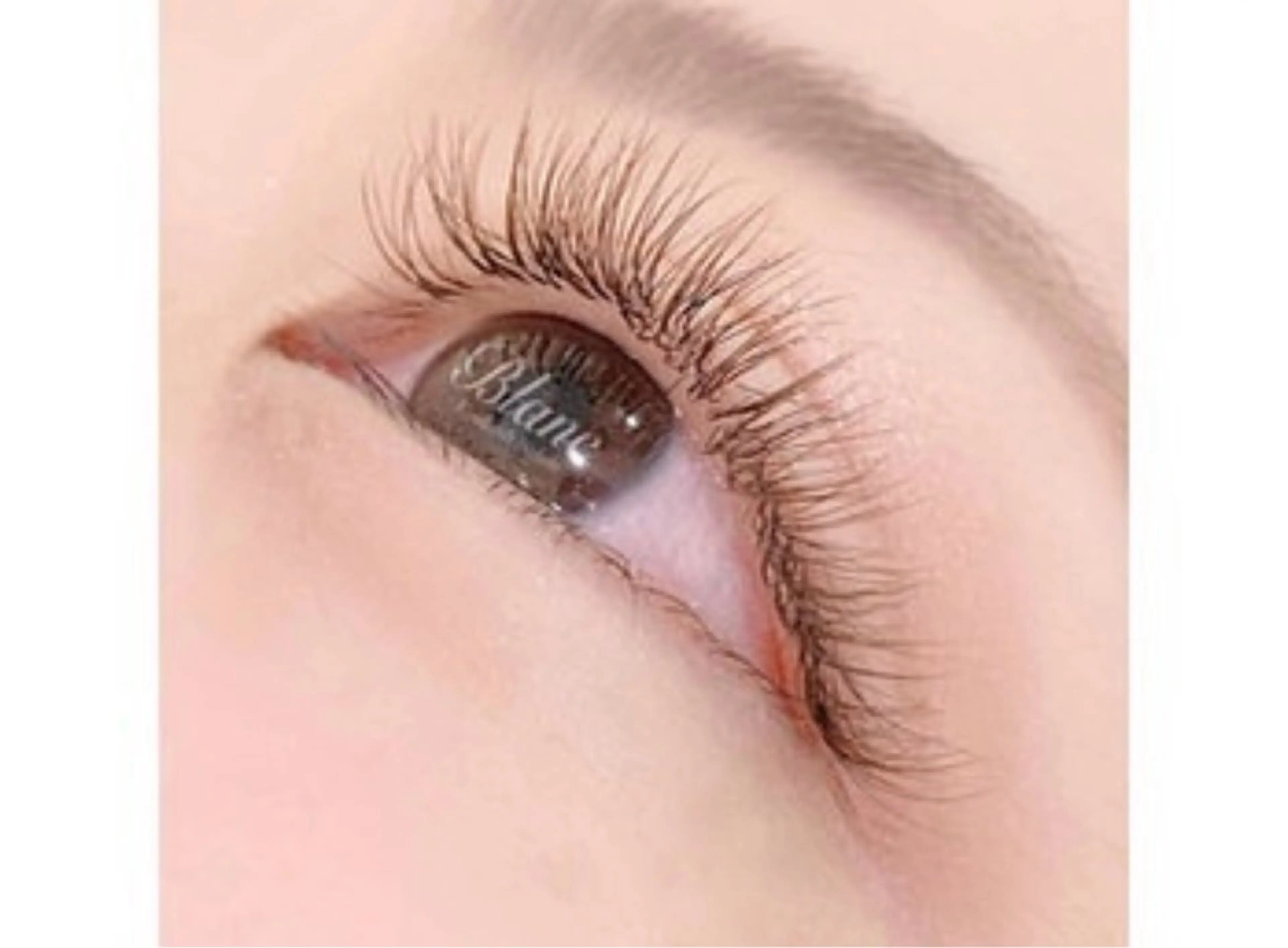 マツエク・マツパ Eyelash Salon Blanc 五所川原  ELM店所属・藤田 捺弓のマツエク・マツパデザイン