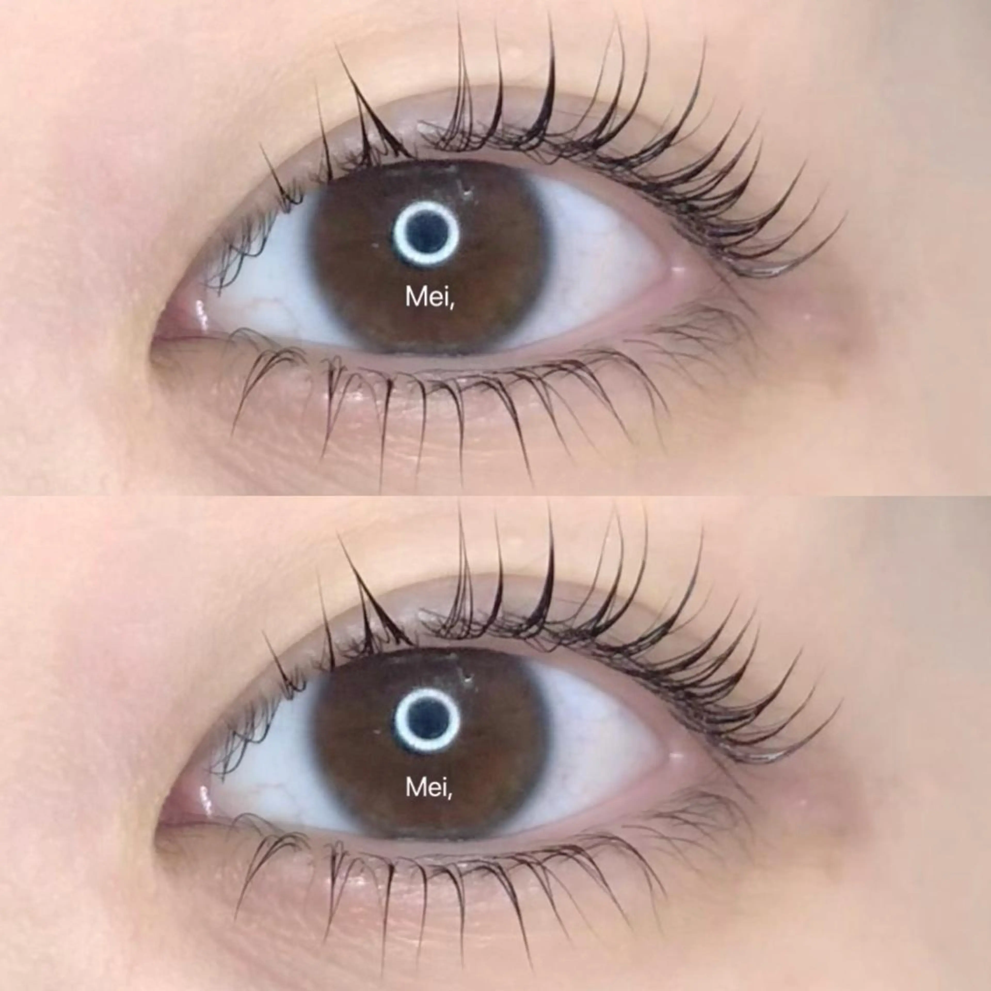 マツエク・マツパ パリジェンヌラッシュリフト EYELASH&NAIL   AnK所属・AnK Meiのマツエク・マツパデザイン