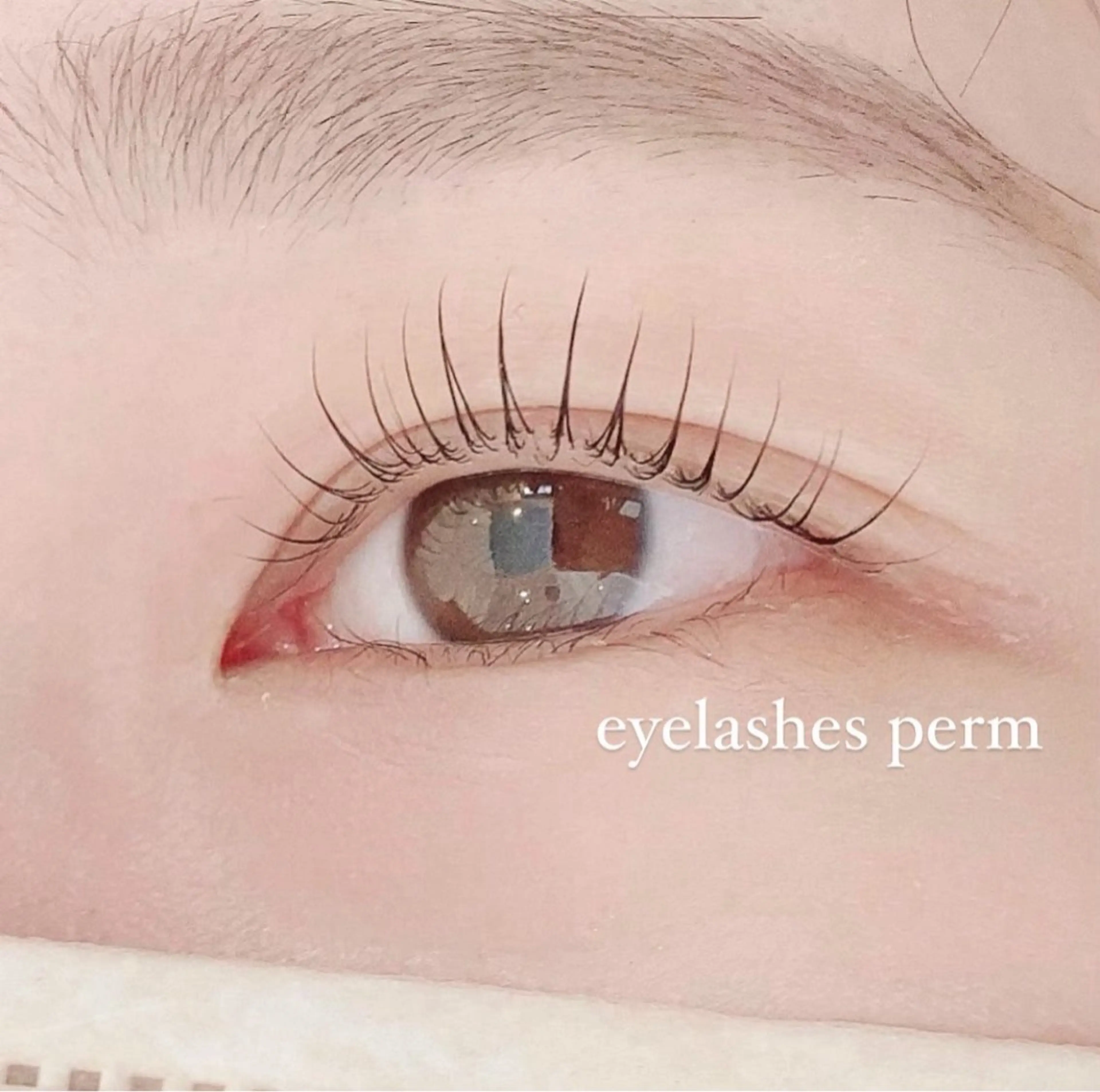 限定☀️ 学生さん増えてます✨【U24】学生パーマ☆の写真