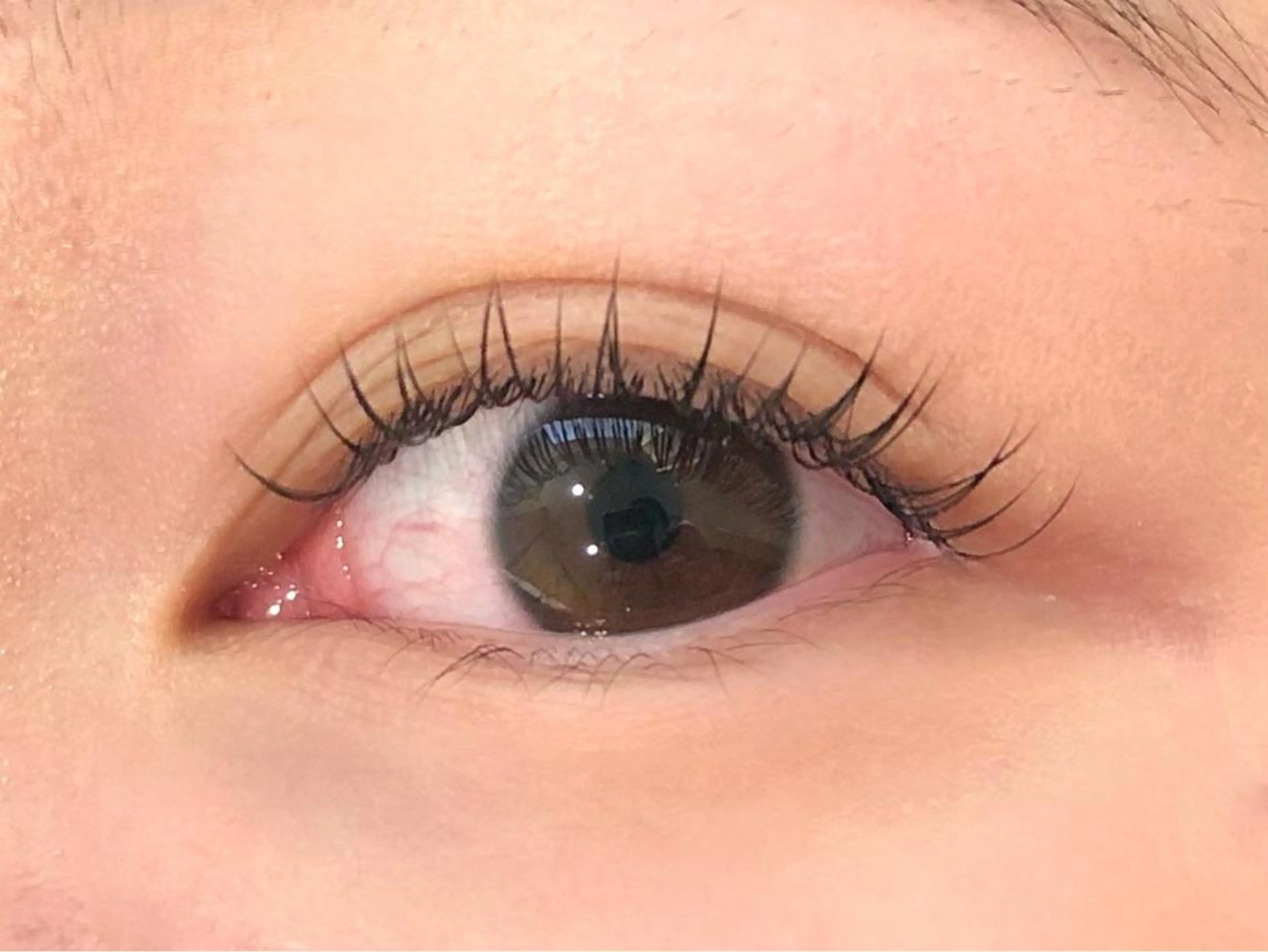 マツエク・マツパ マツエク 𝗲𝗶𝗴𝗵𝘁 𝗛𝗢𝗡𝗗𝗔のマツエク・マツパデザイン