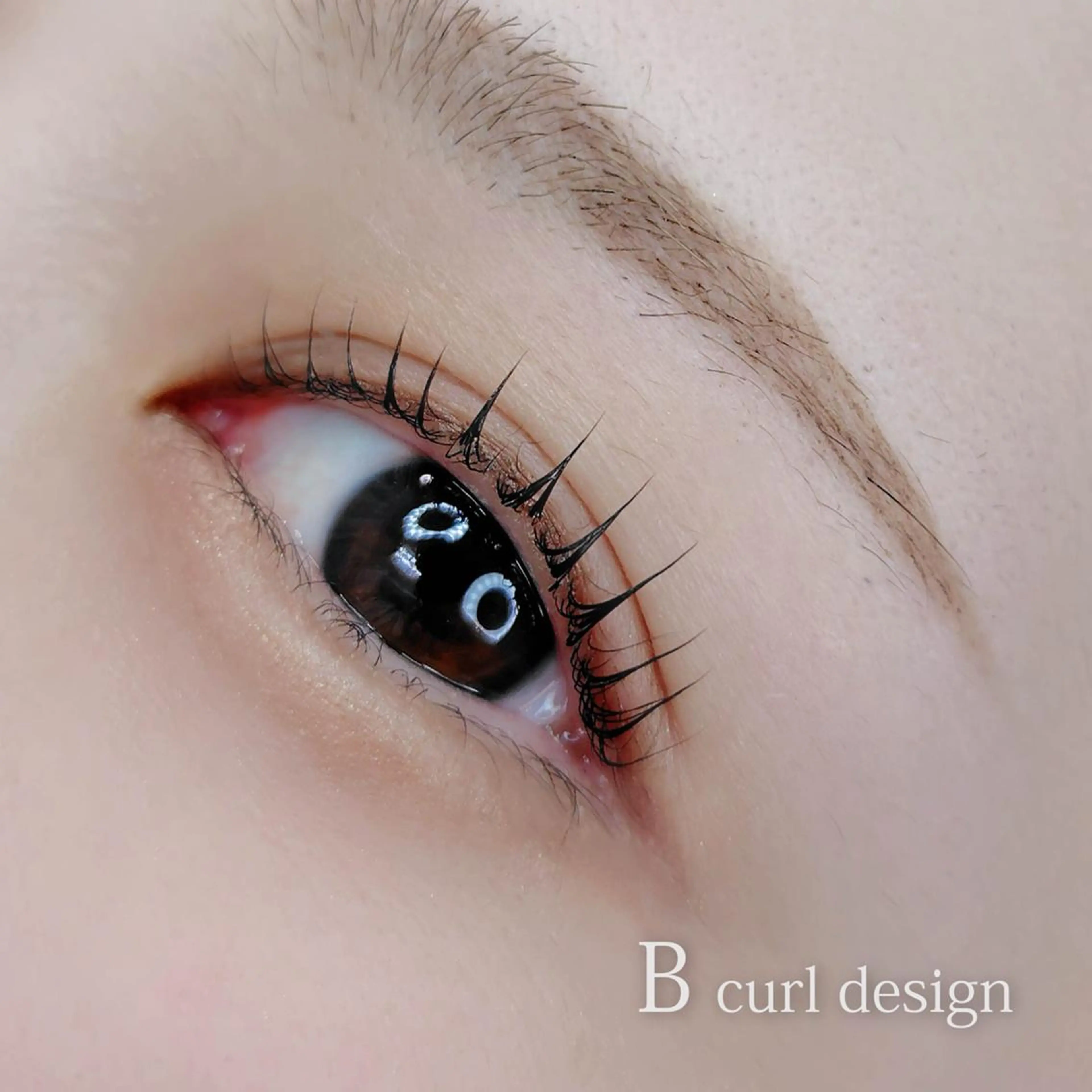 マツエク・マツパ Bカール まつげパーマ専門店 シャルナ 上野店のマツエク・マツパデザイン