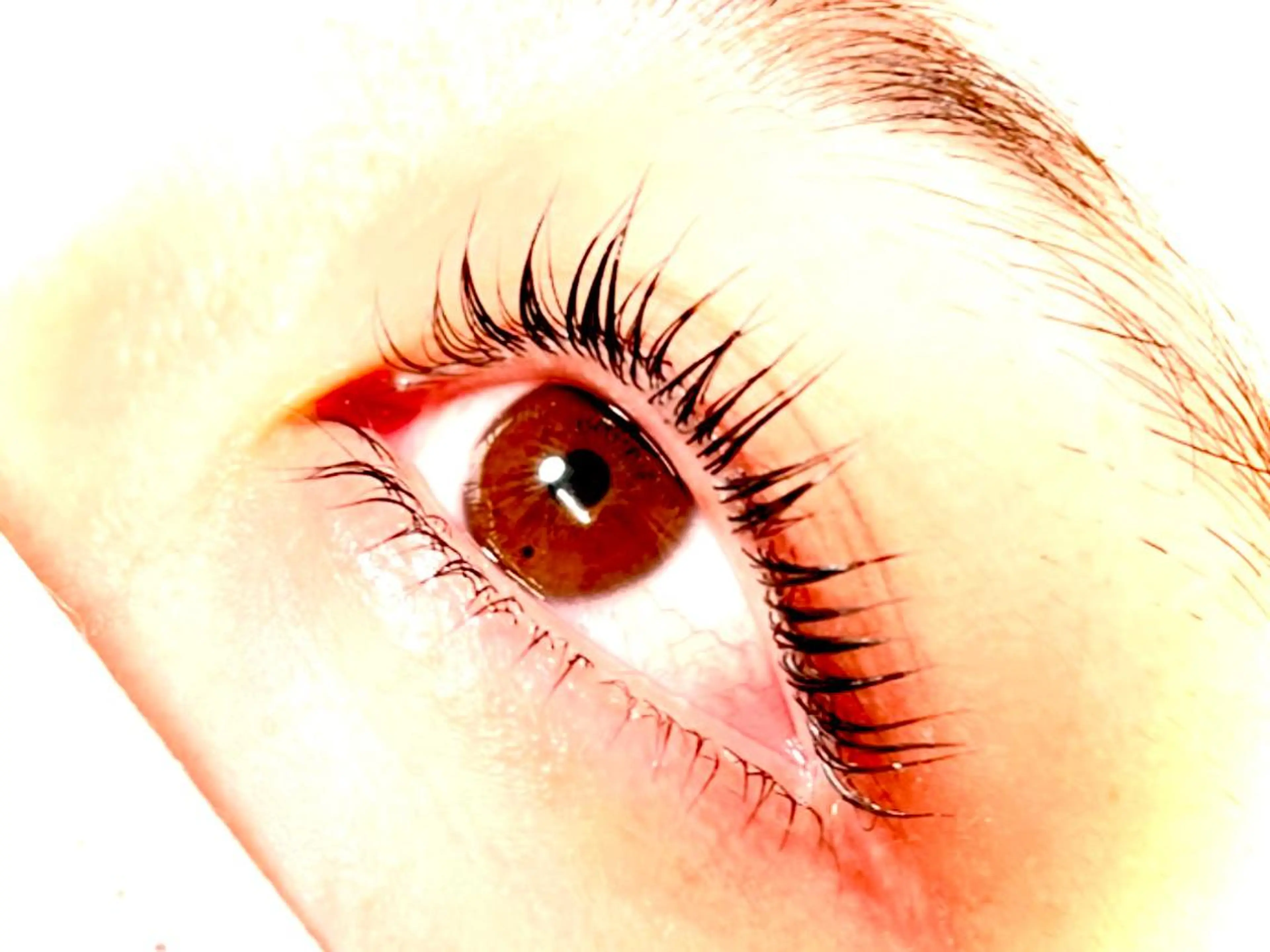 パーマ マツエク・マツパ マツパ yamamoto 🥀のマツエク・マツパデザイン