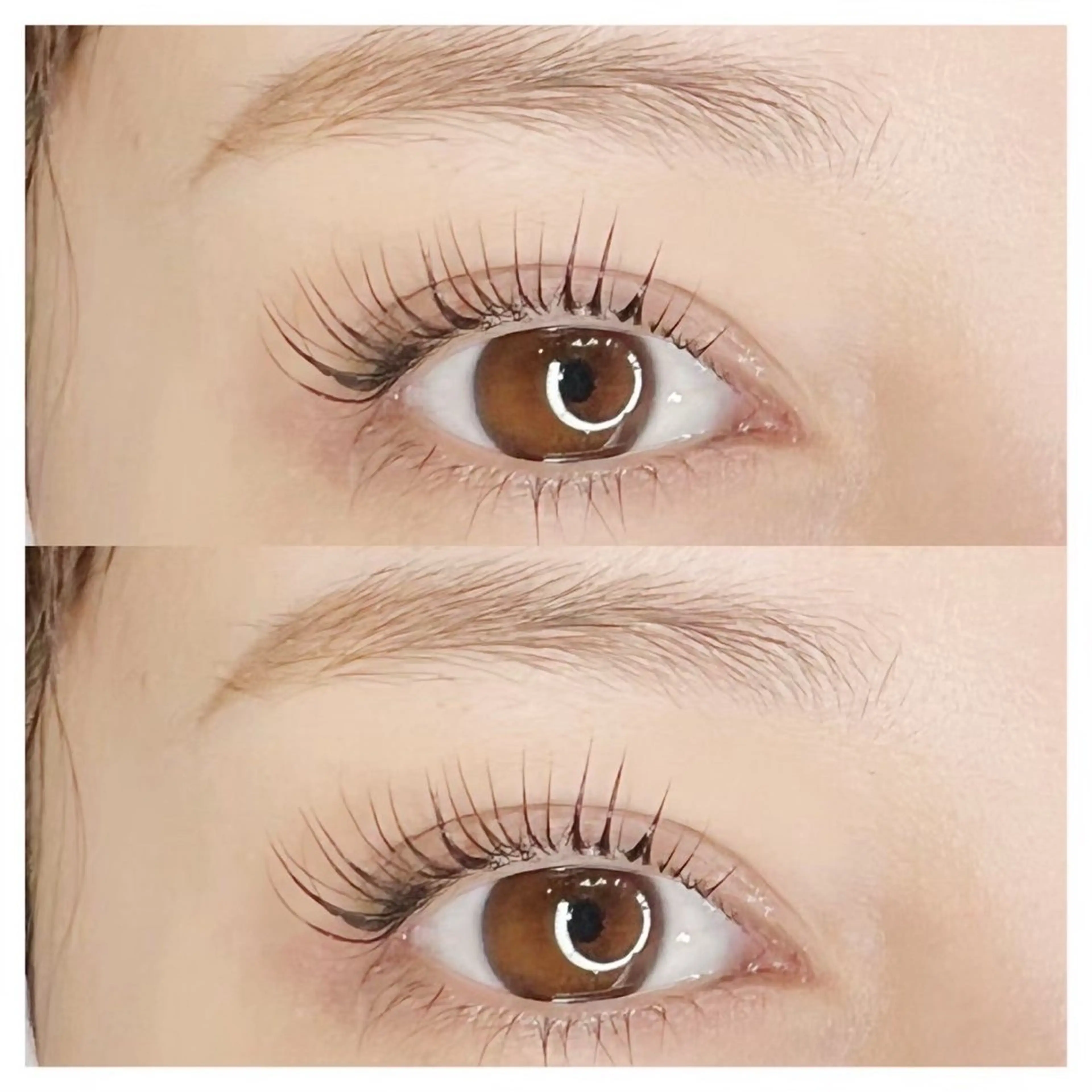 マツエク・マツパ NAIL&EYELASH PLAZA 南森町所属・SAKI /モデル募集♡̷⸝⋆のマツエク・マツパデザイン