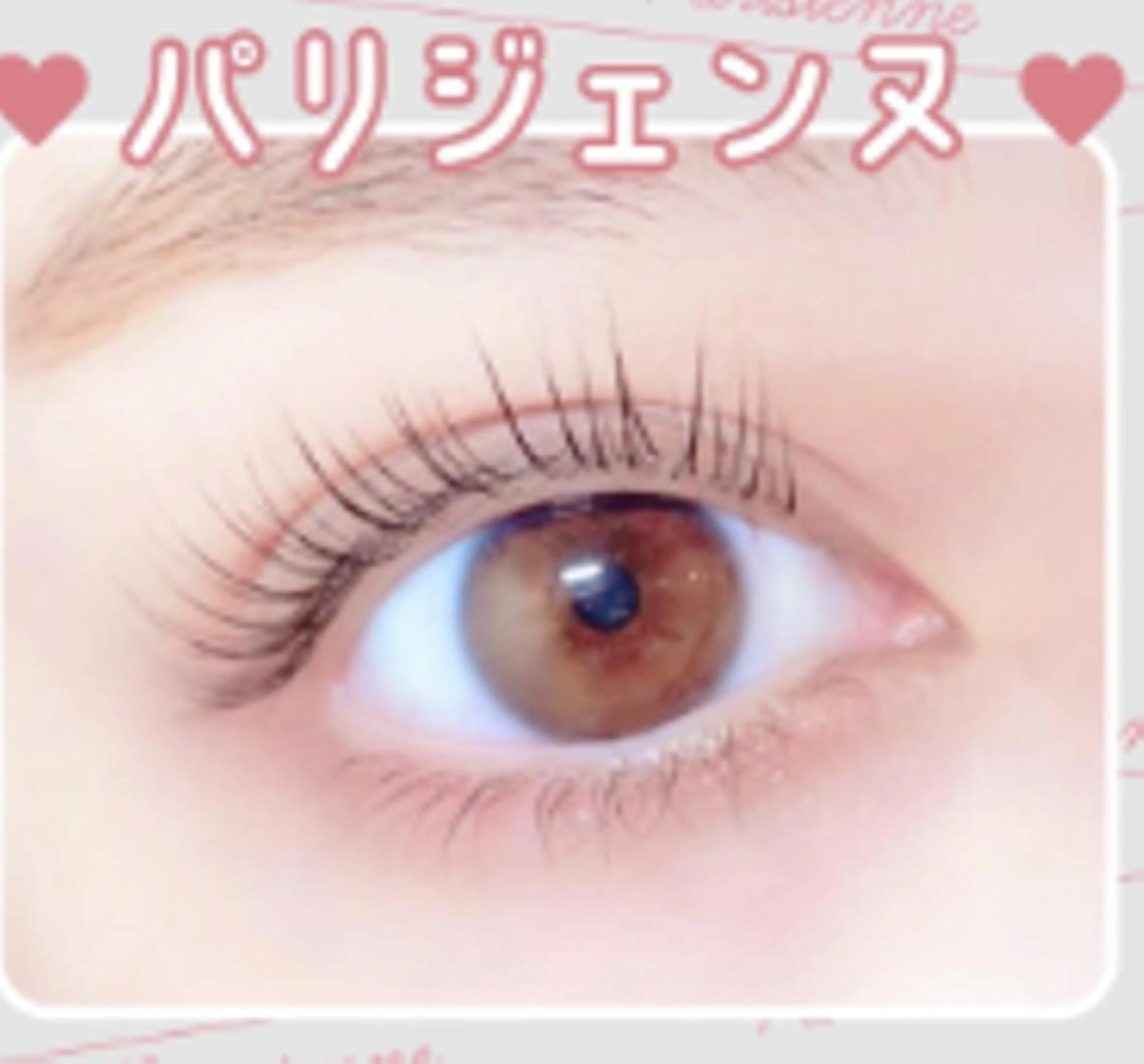 【30名限定❤️無料クーポン】パリジェンヌラッシュリフトの写真
