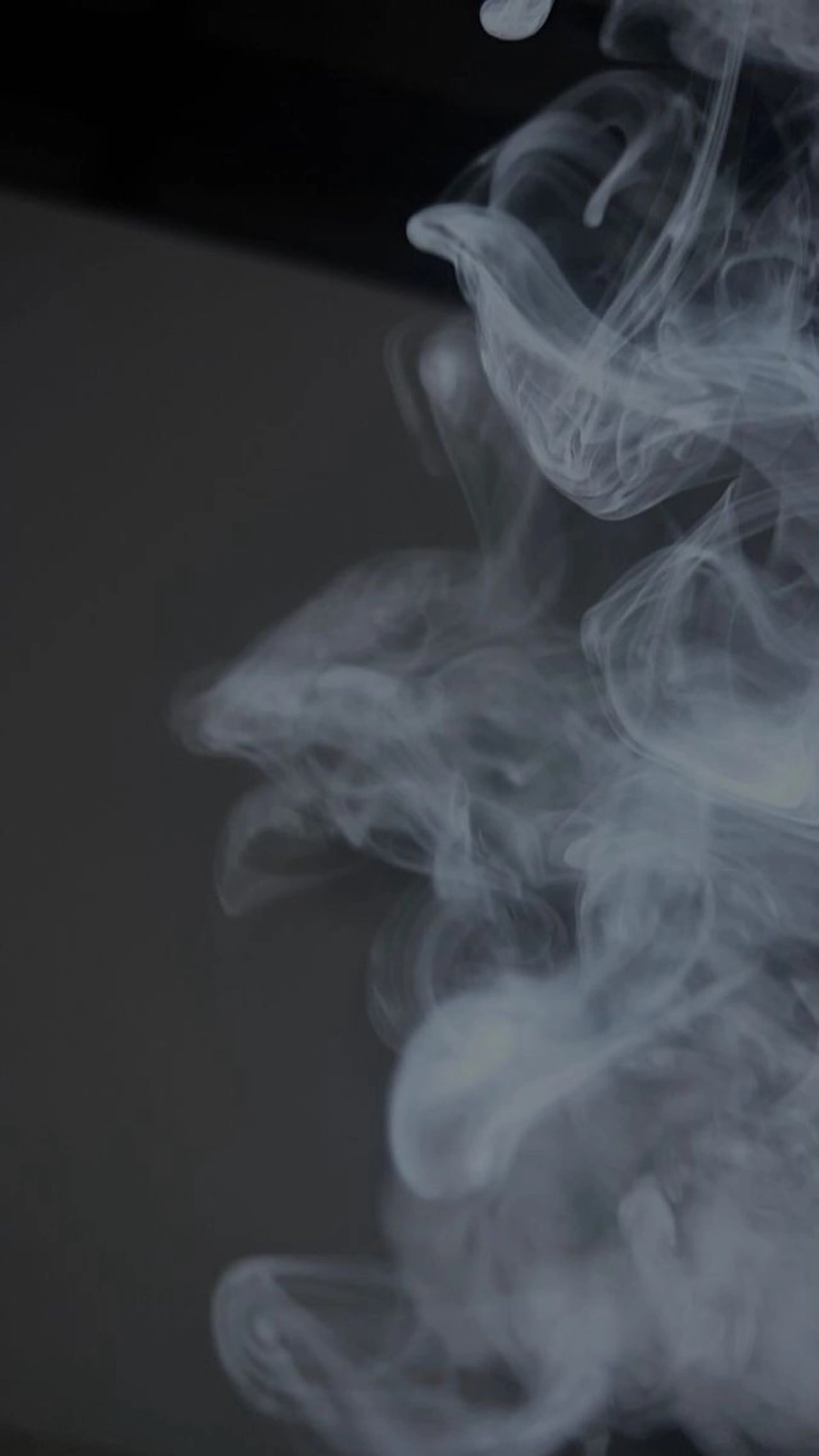 オフのみの写真