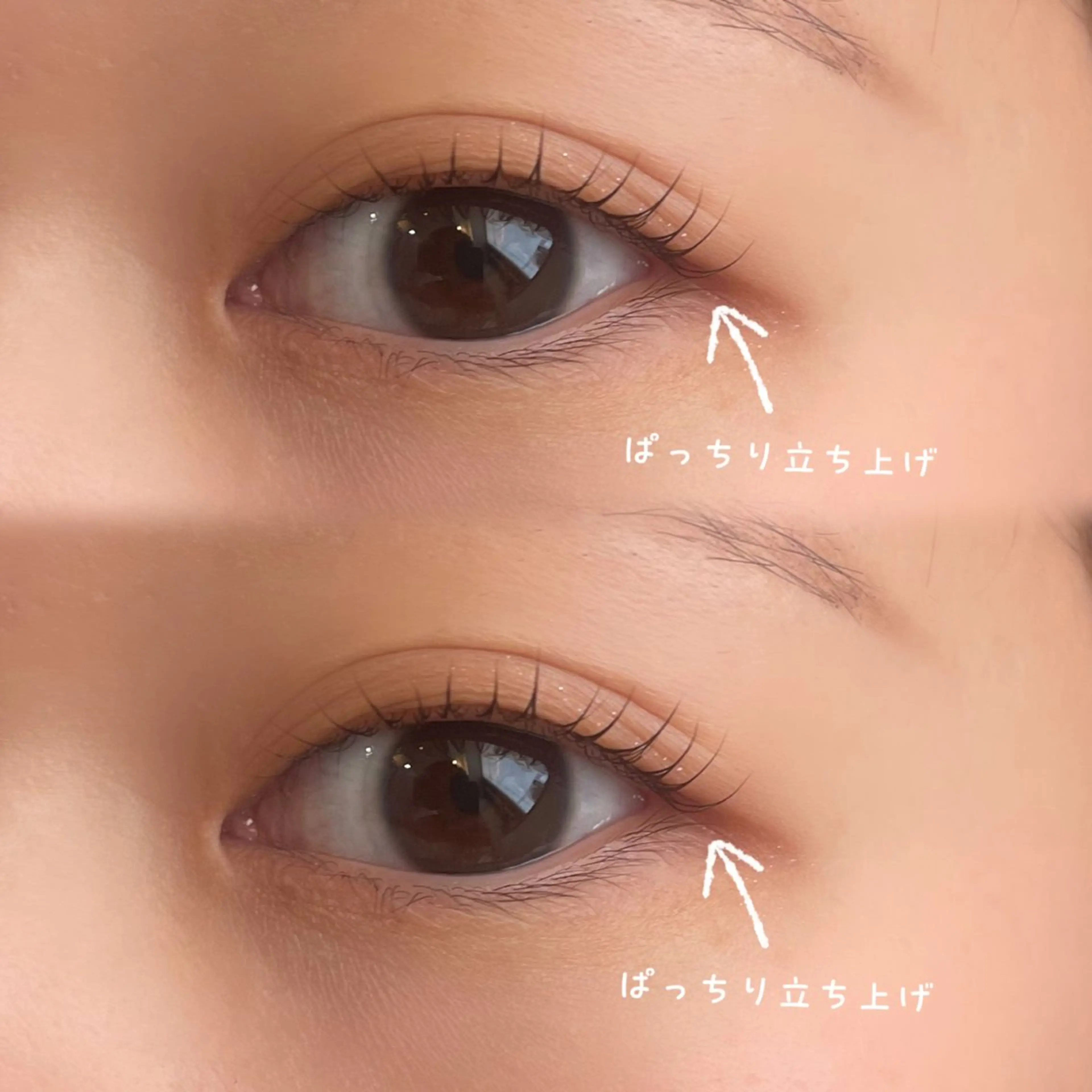 マツエク・マツパ マツパ pepper所属・美容室内の半個室 pepperのマツエク・マツパデザイン