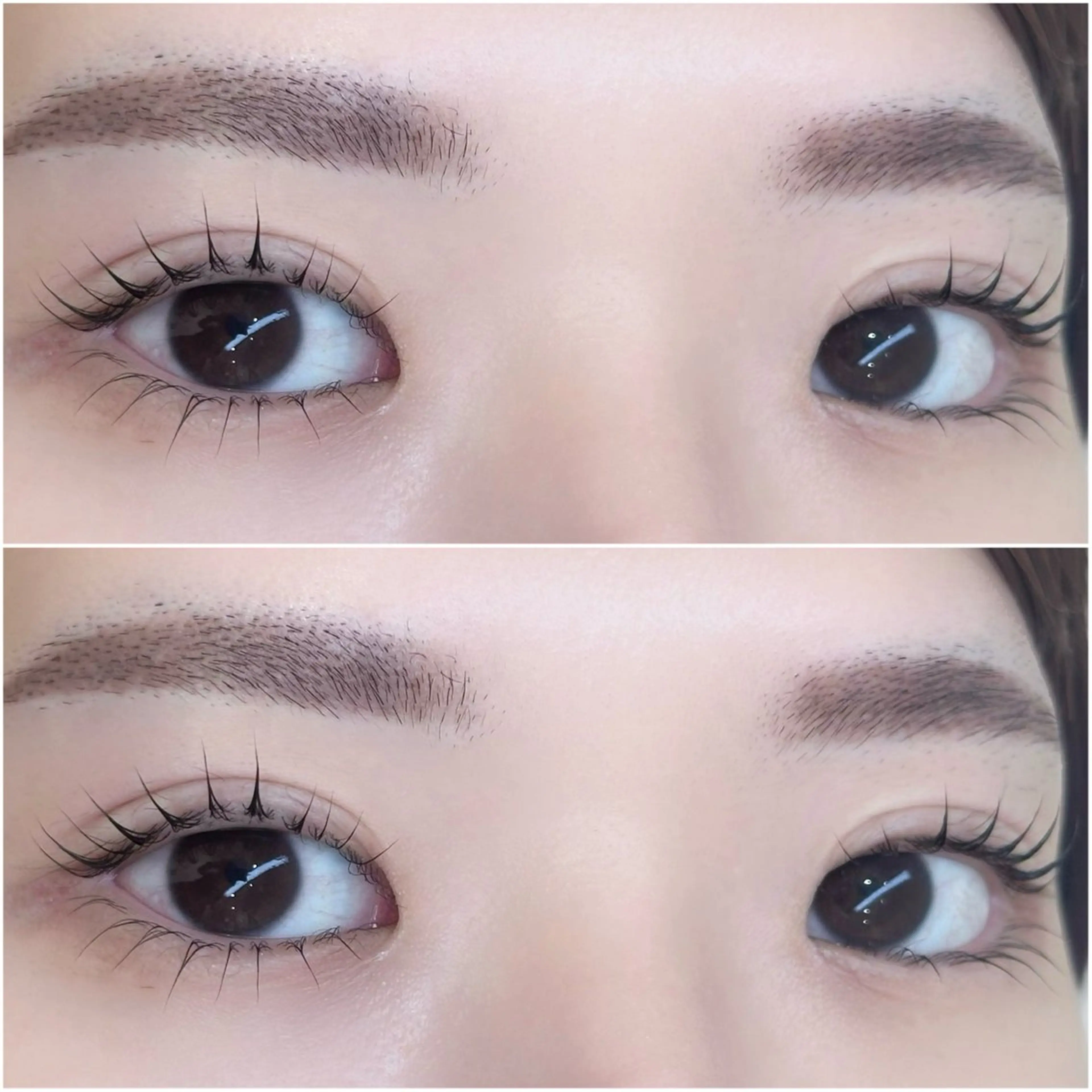 マツエク・マツパ Eyelash＆Eyebrow salon plume所属・アイドルまつげ 作ります💗うららのマツエク・マツパデザイン