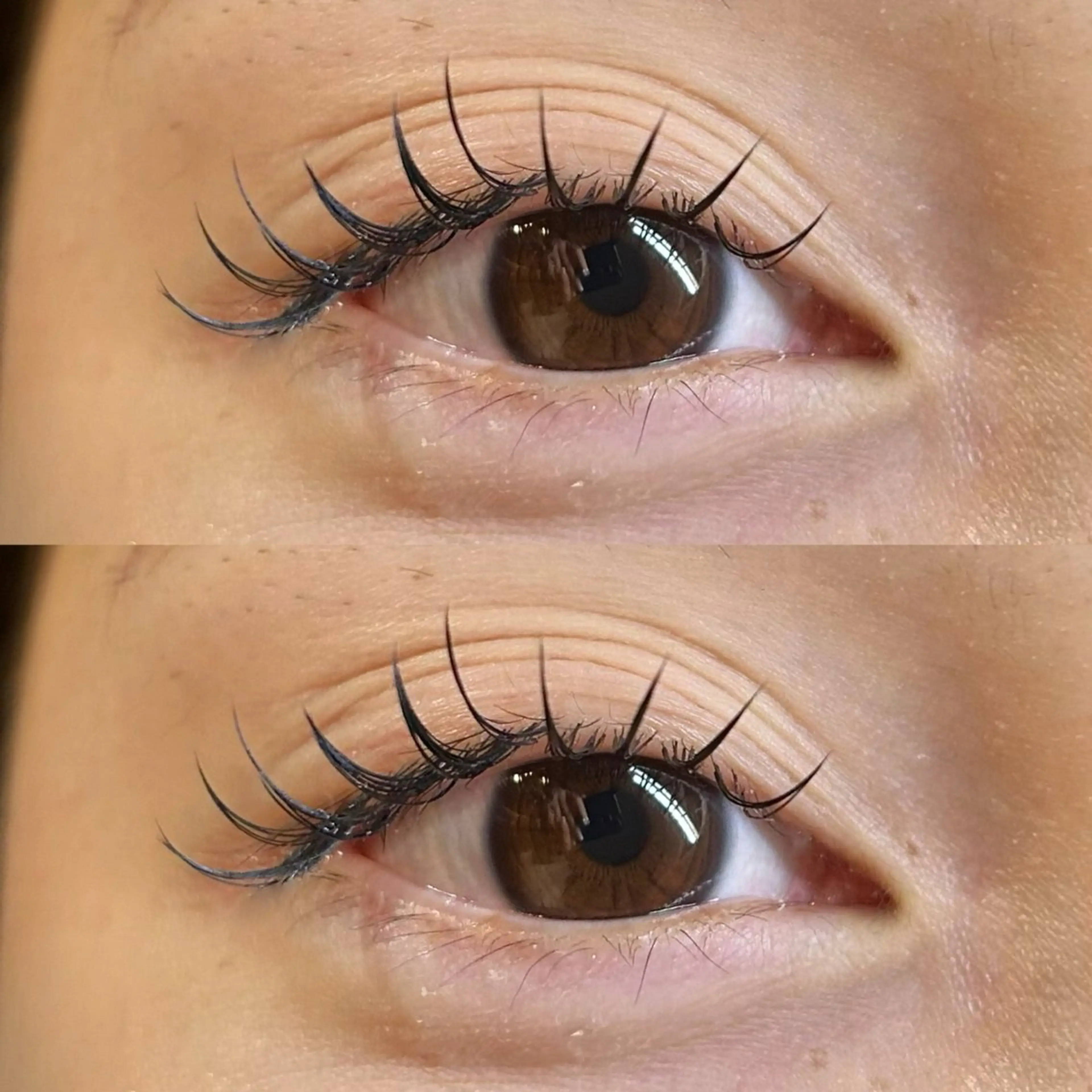 マツエク・マツパ 束感まつ毛 マツエク Rise 🎀のマツエク・マツパデザイン