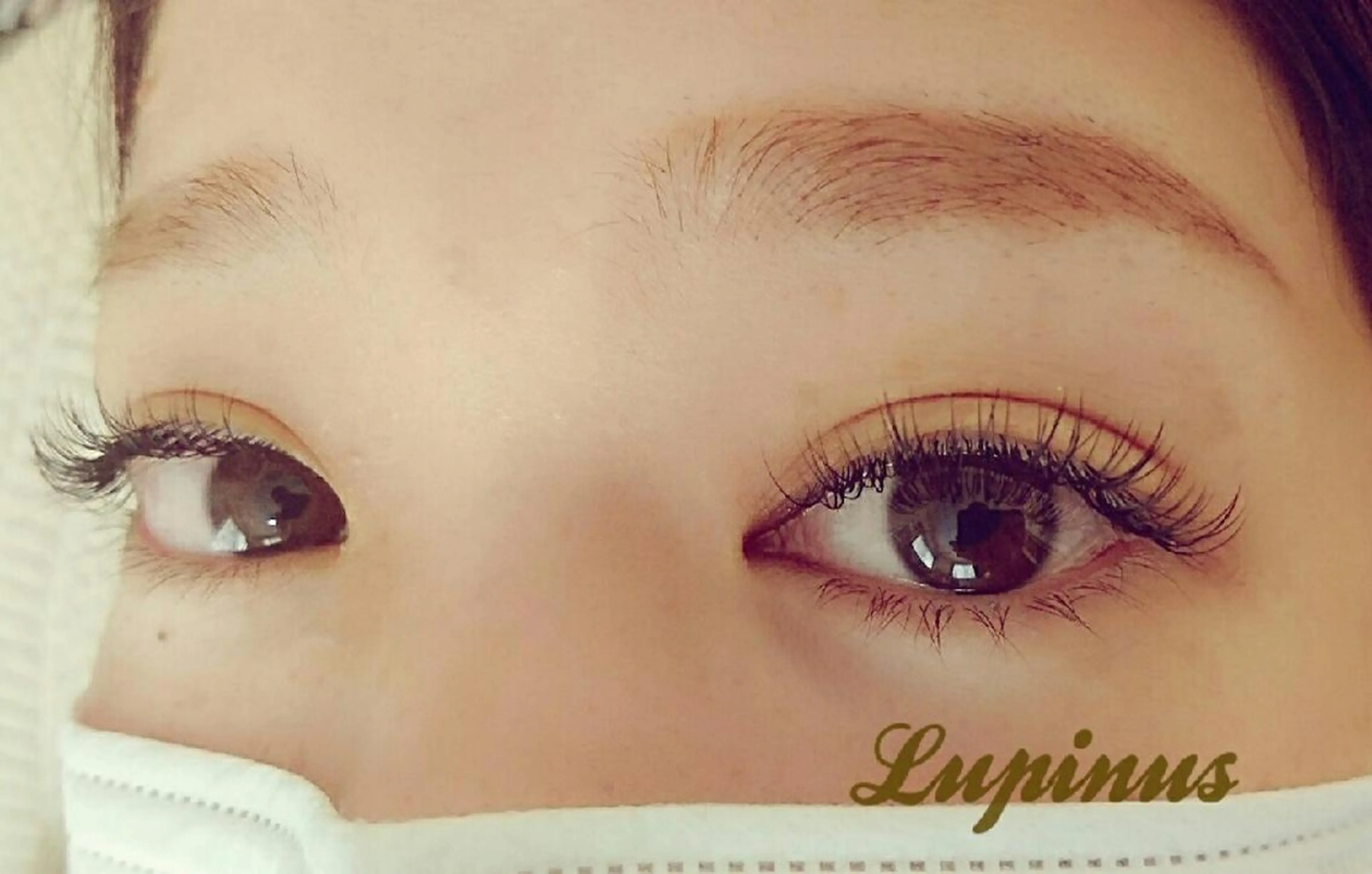 マツエク・マツパ Lupinus 国立店のマツエク・マツパデザイン