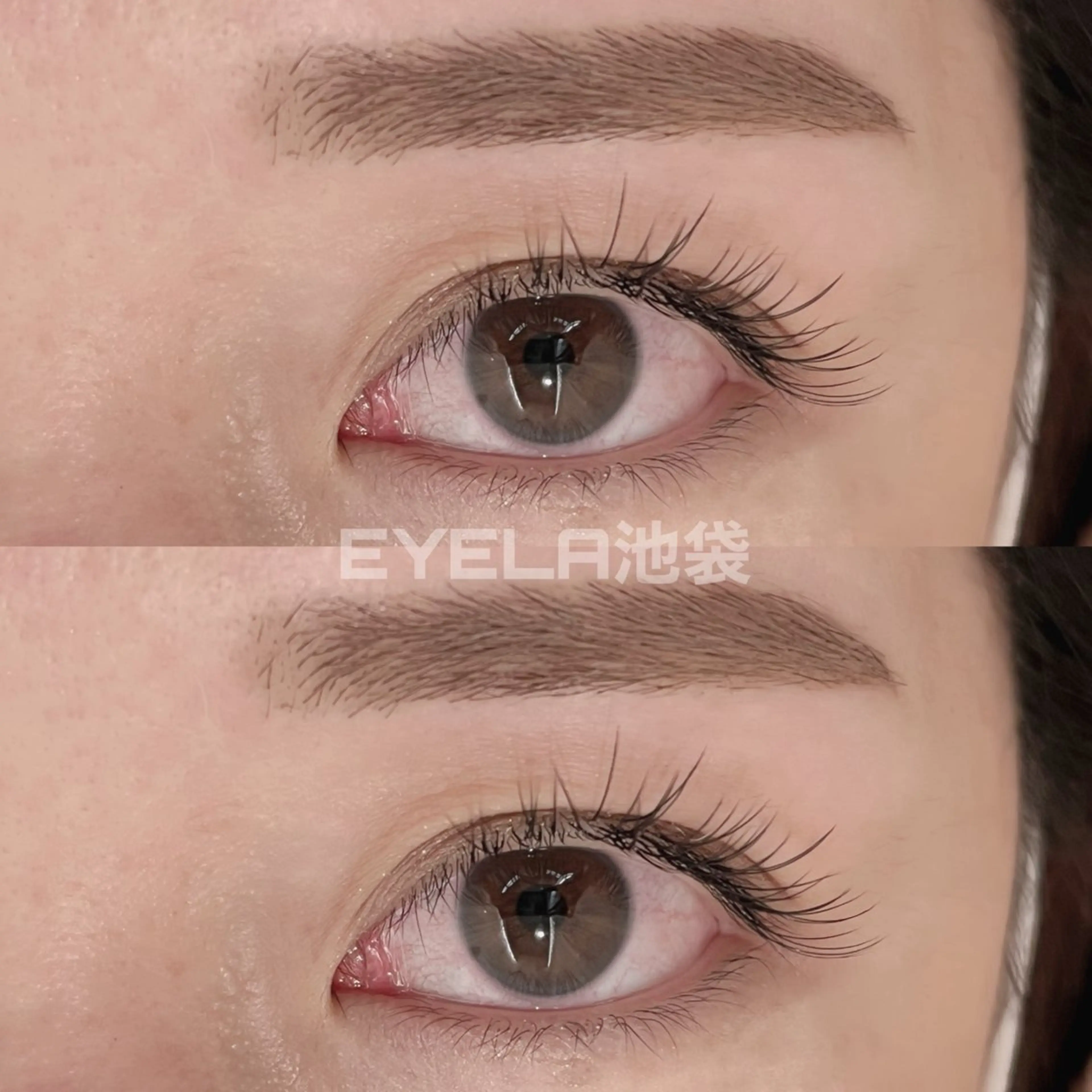 マツエク・マツパ EYELA さくまのマツエク・マツパデザイン