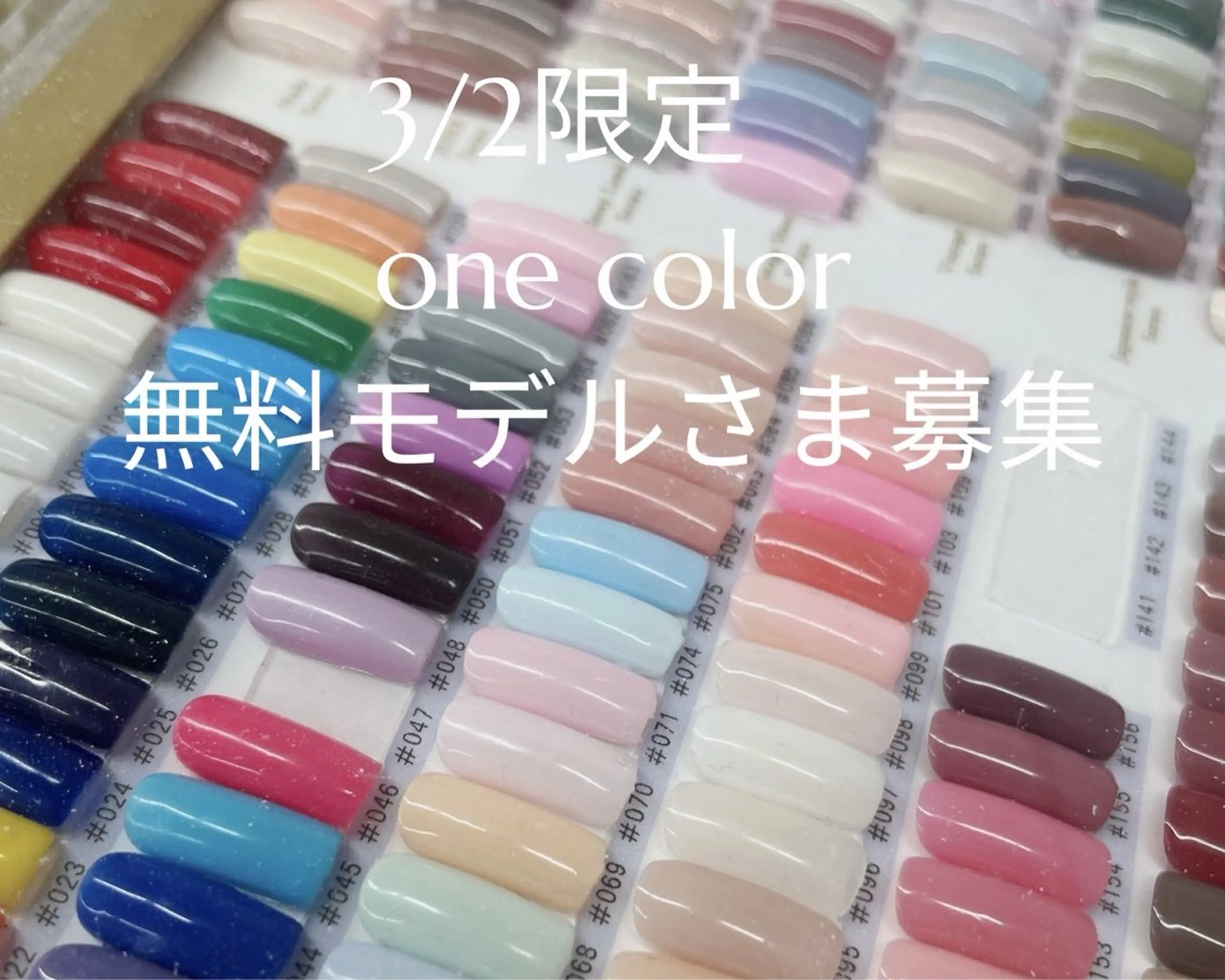 ワンカラーの写真