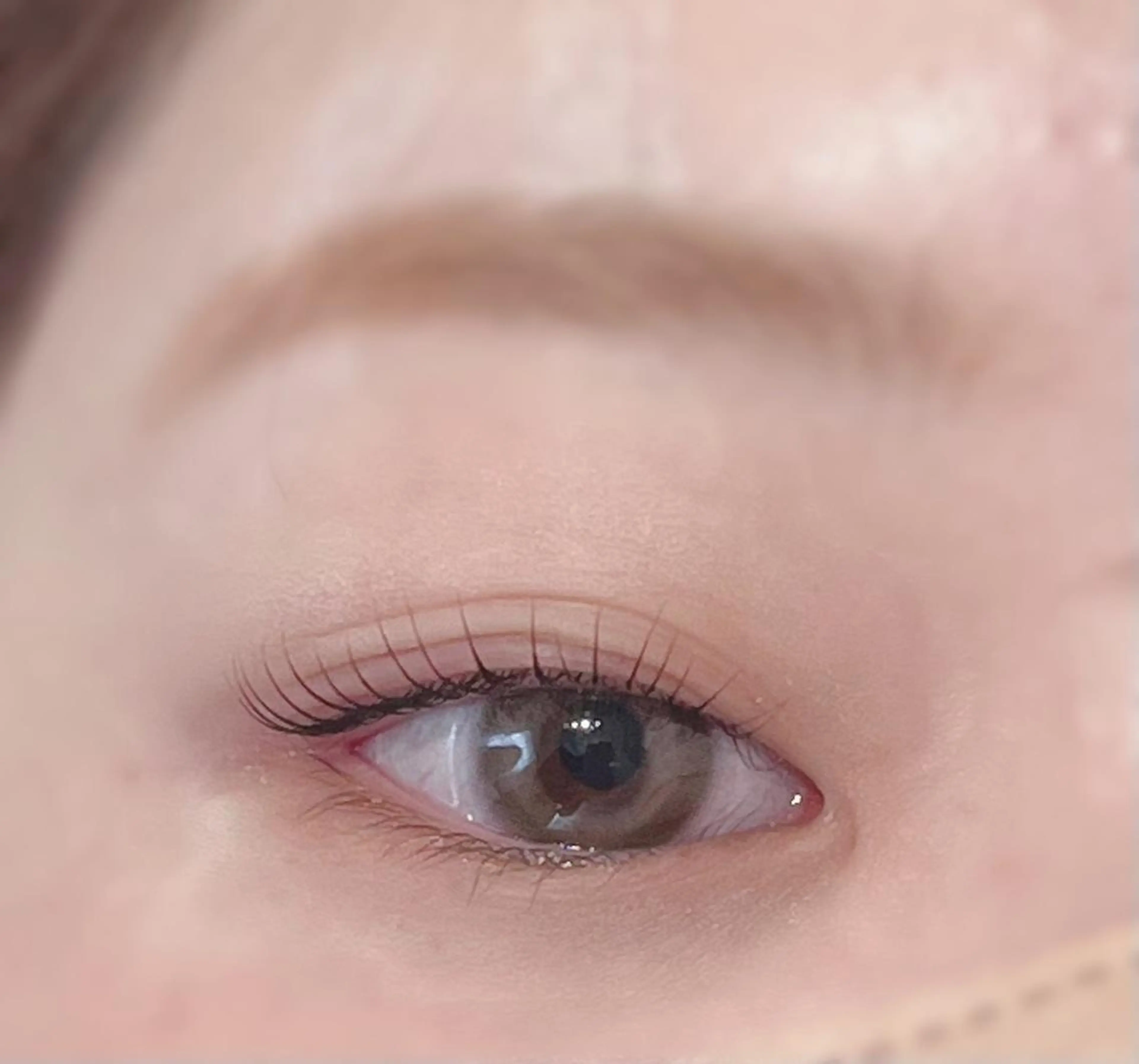 マツエク・マツパ まつげパーマ マツパ Biolus／天王寺 2号店🌸noa🌸のマツエク・マツパデザイン