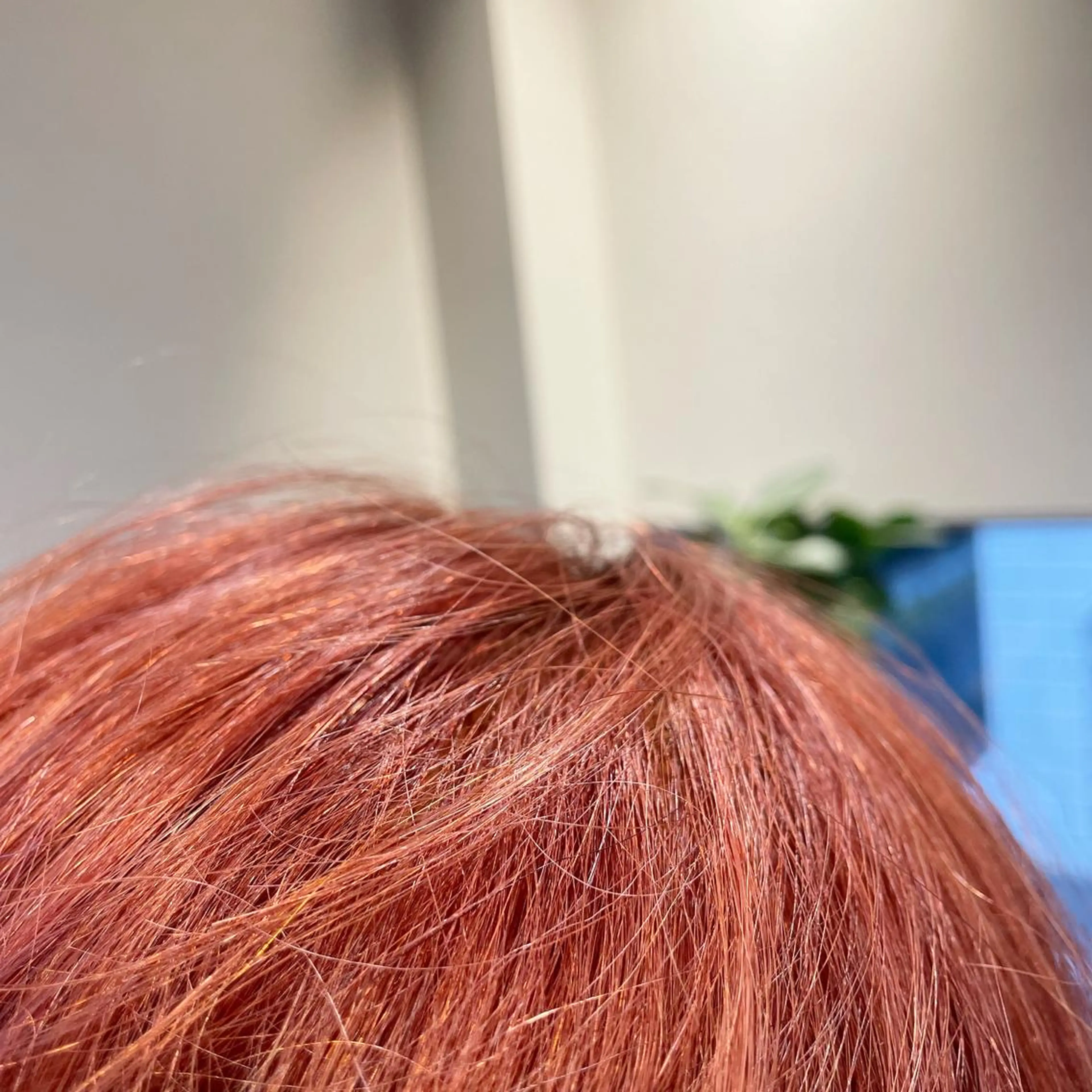 ショート エギョモリ 外国人風カラー ハイライト 髪質改善 タンバルモリ 韓国風/オシャレ /縮毛矯正/滝口琴未のヘアスタイル