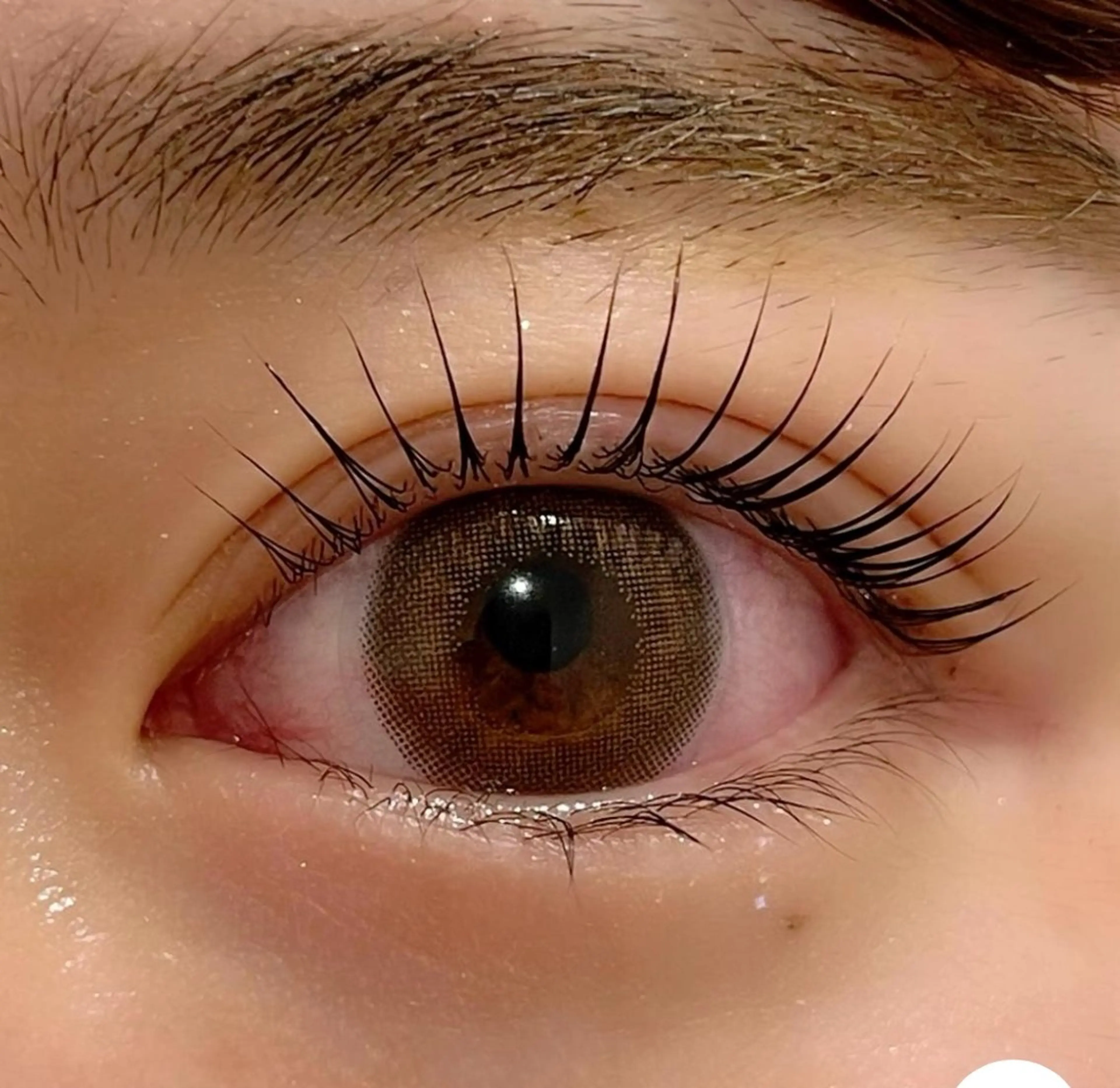 マツエク・マツパ マツパ 表参道駅徒歩2分🫧 まつげパーマ/Emiのマツエク・マツパデザイン