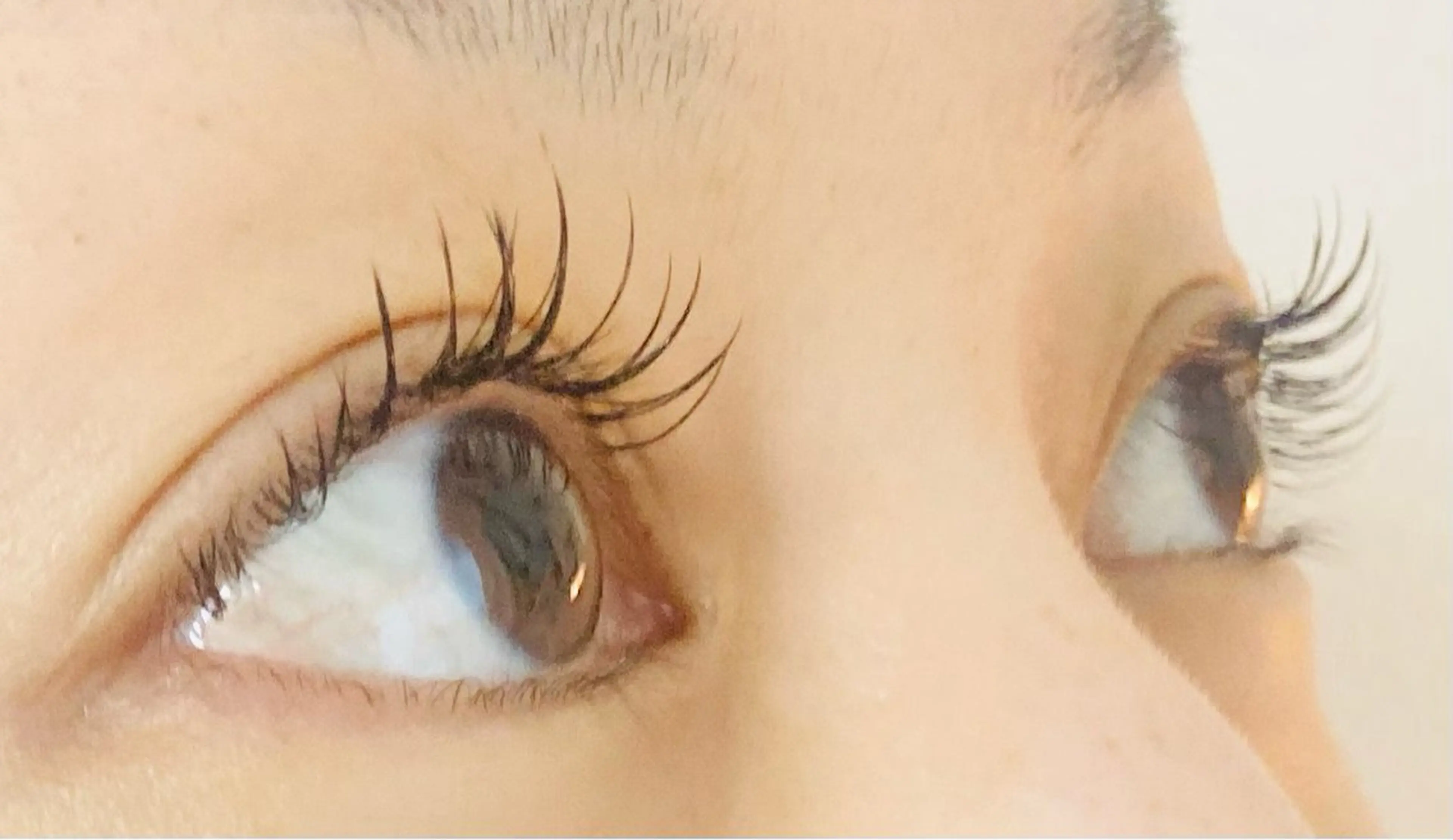 シングルエクステ120本🍁の写真