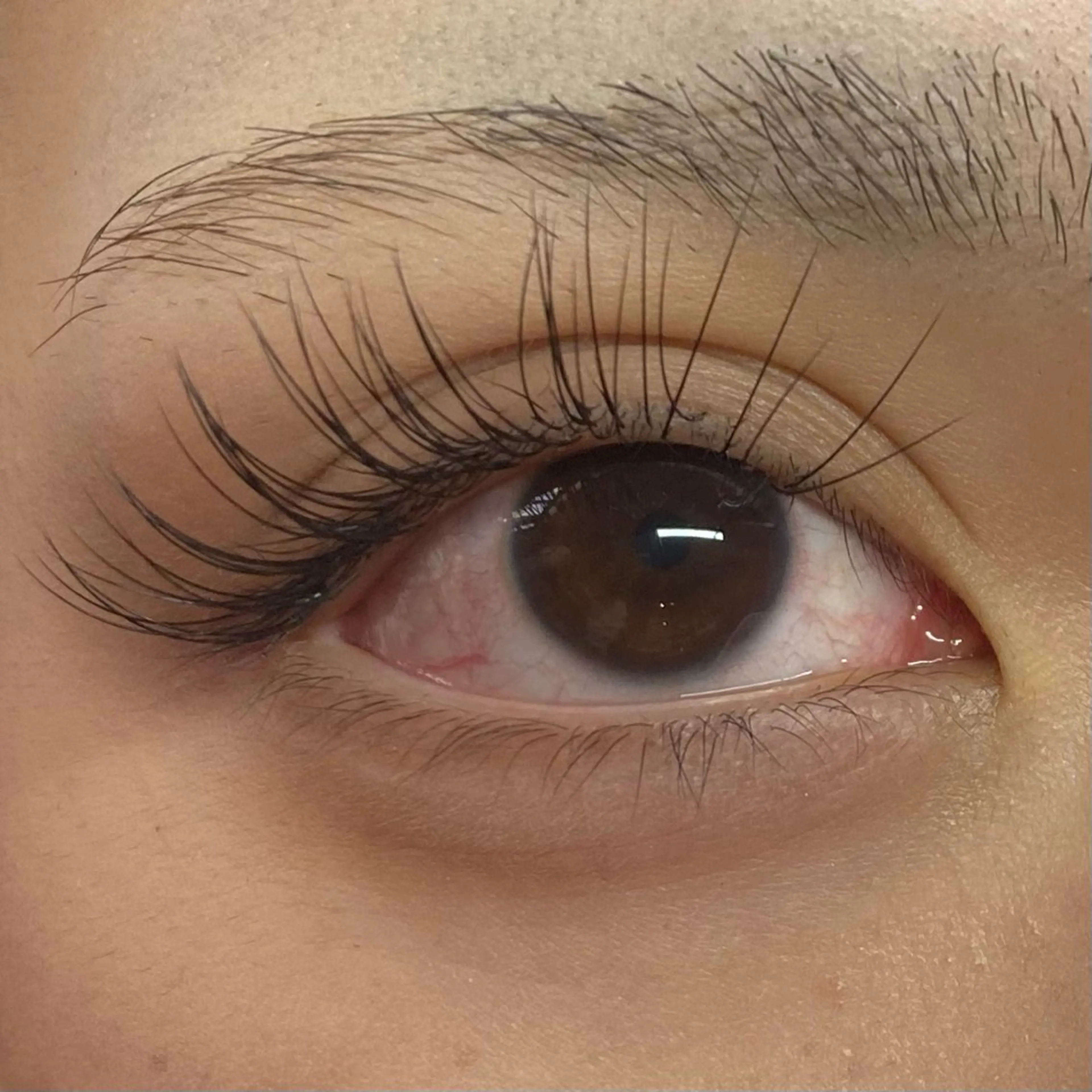 【セーブルエクステ100本】Jr.アイリストキャンペーン🦋カラーエクステ+¥1000/長さ・カール・デザインお選び🉑の写真